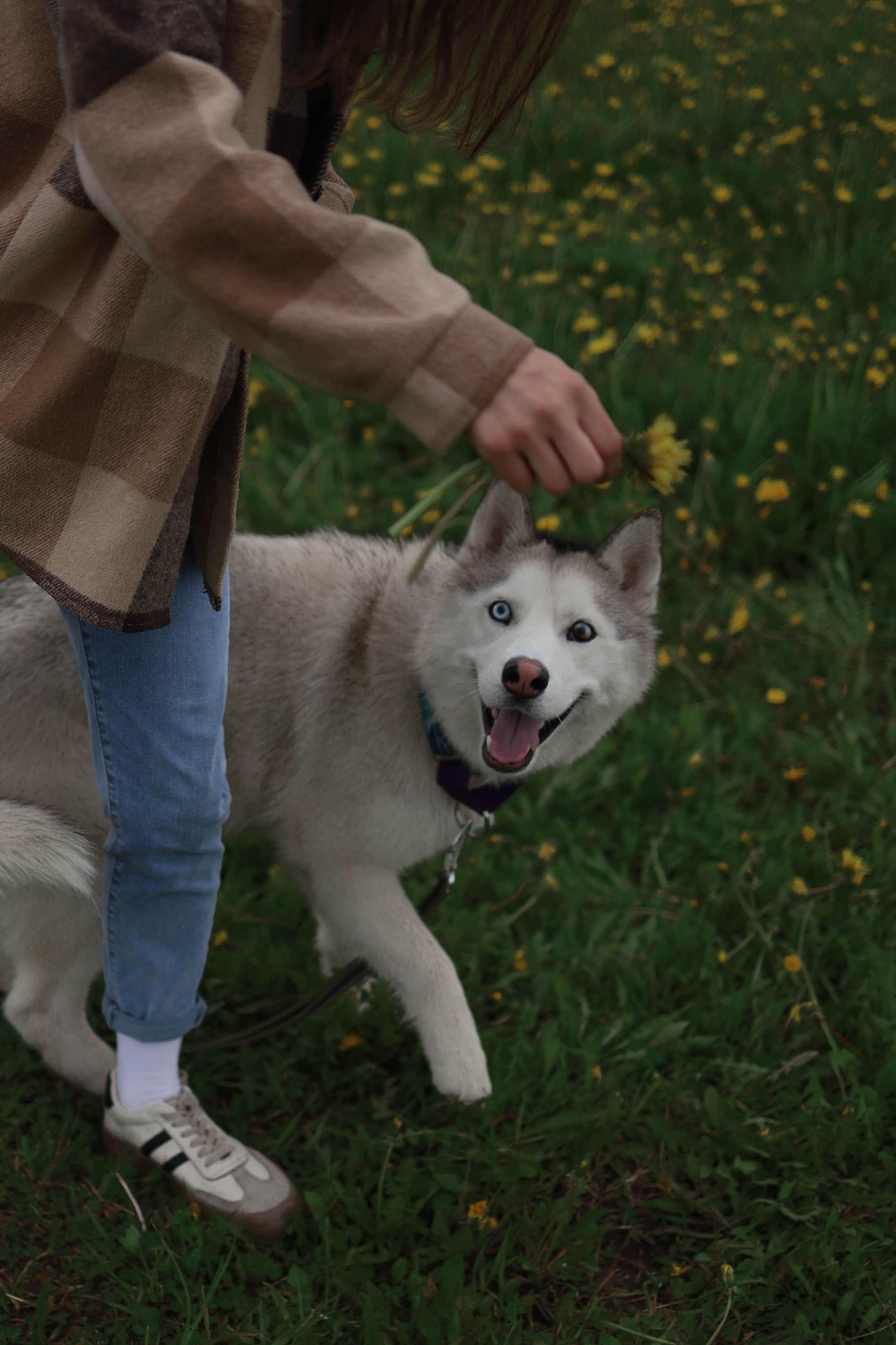 Шанти и Катя. Фотограф-анималист в Санкт-Петеребурге Титова Алиса