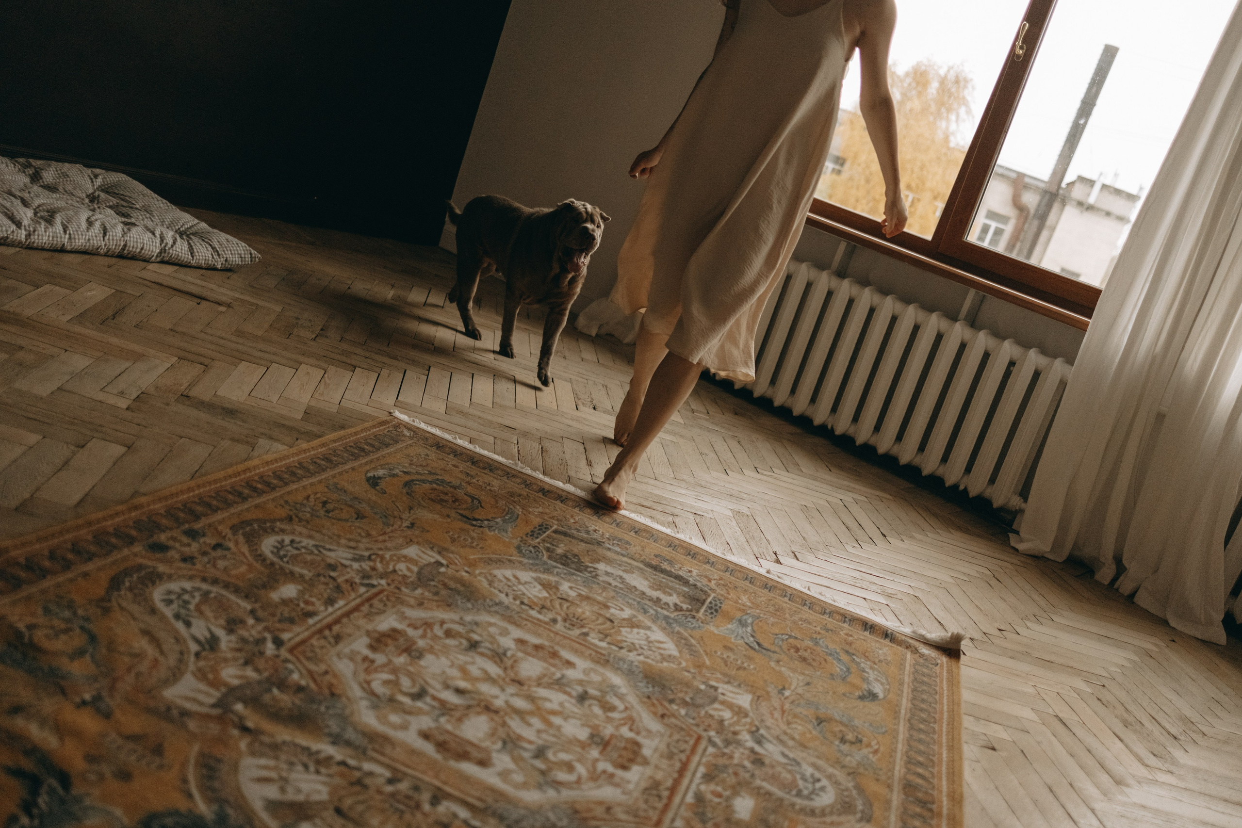 Ульяна и Вагнер. Фотограф — Анималист | Санкт-Петербург