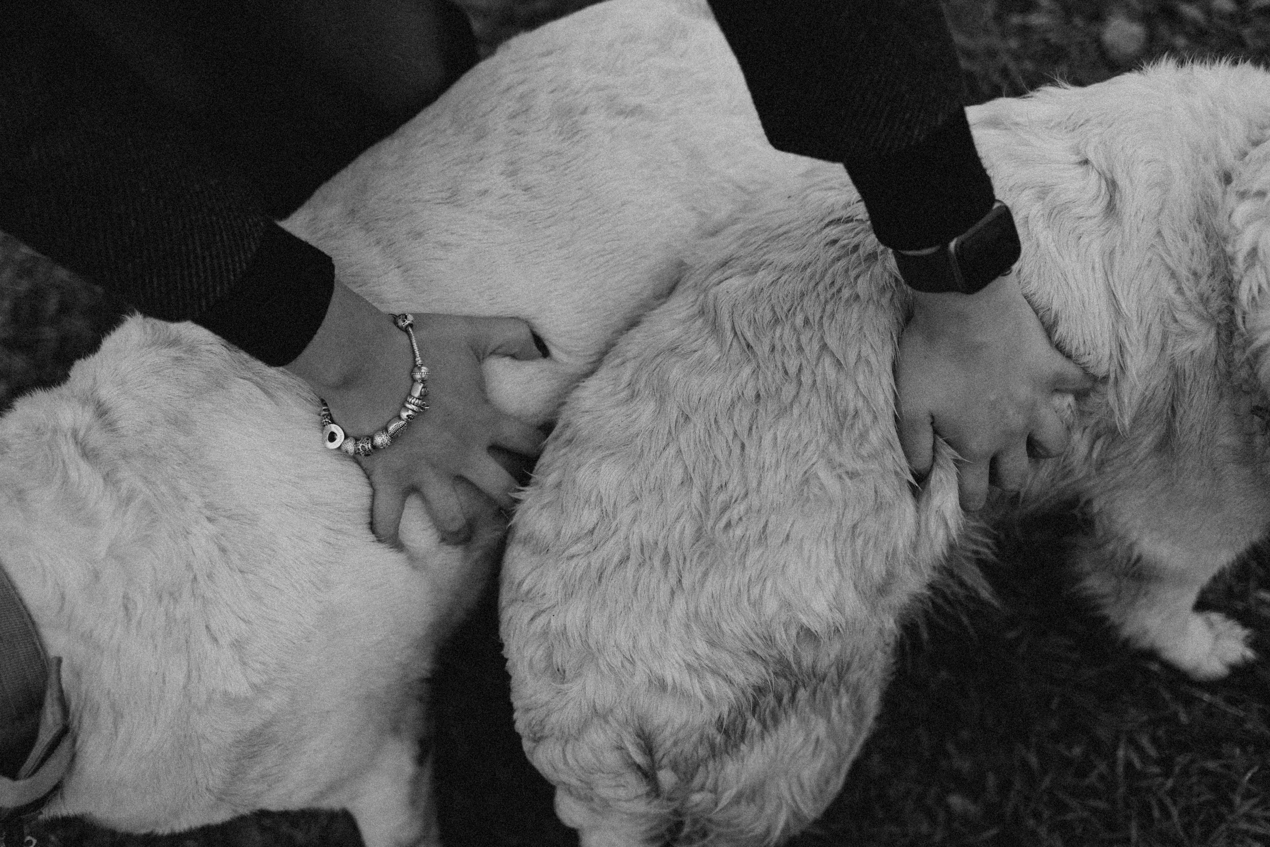 Женя и ее девочки. Фотограф — Анималист | Санкт-Петербург