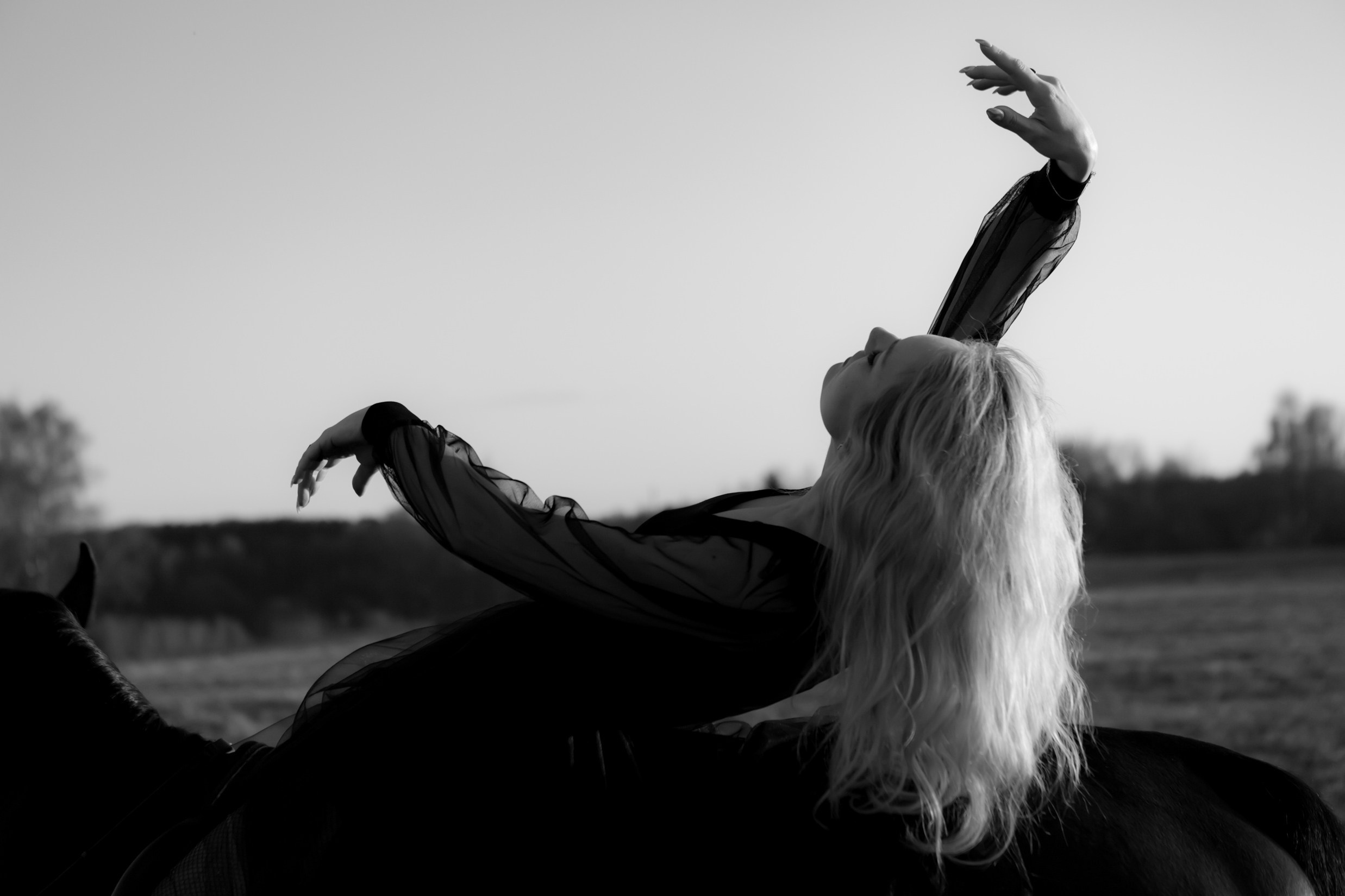 Художественная конная фотография. Свадебный и портретный фотограф Москва