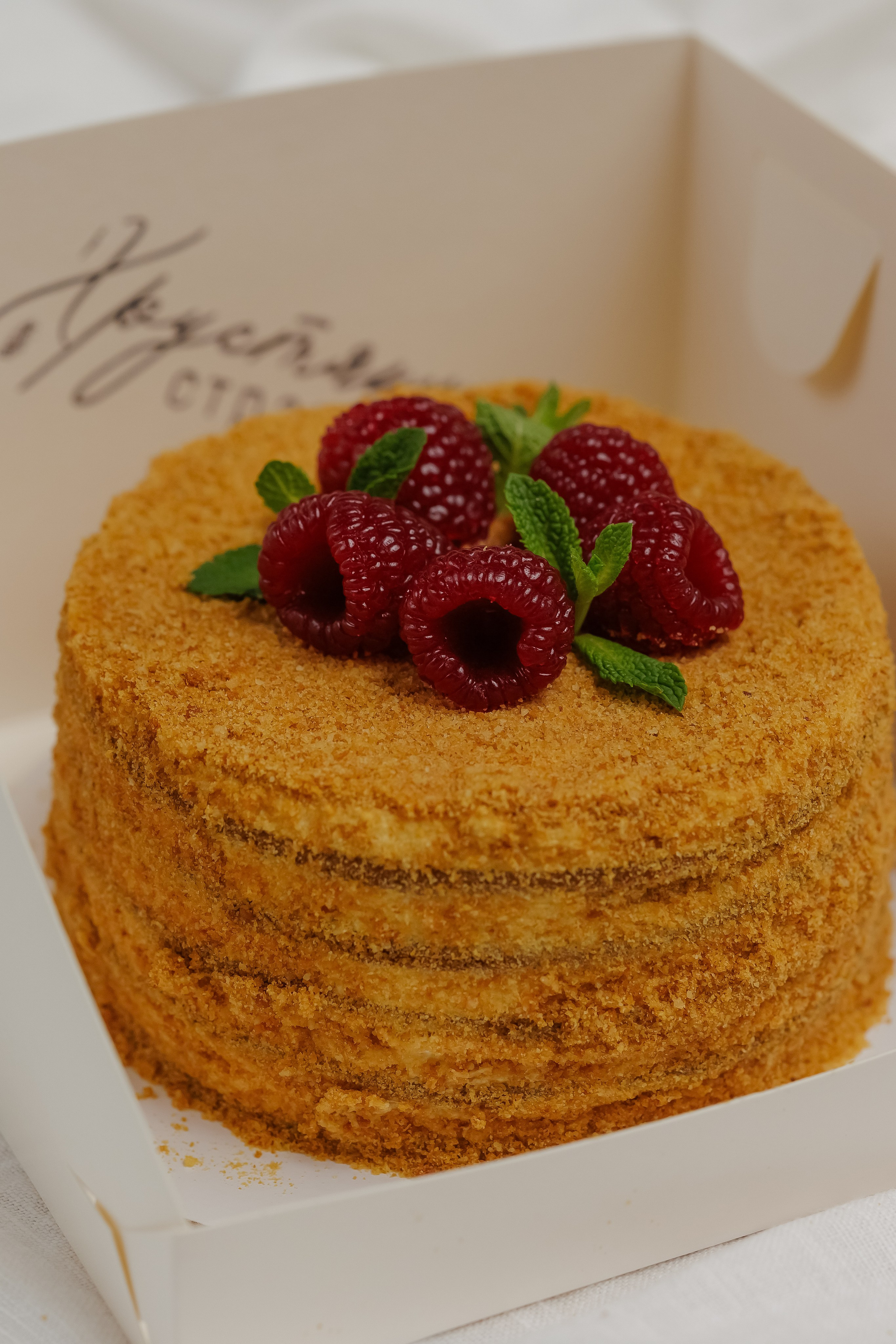 «Хрустящие страницы». Фото и видео контент за одну съемку — Веретенников Егор