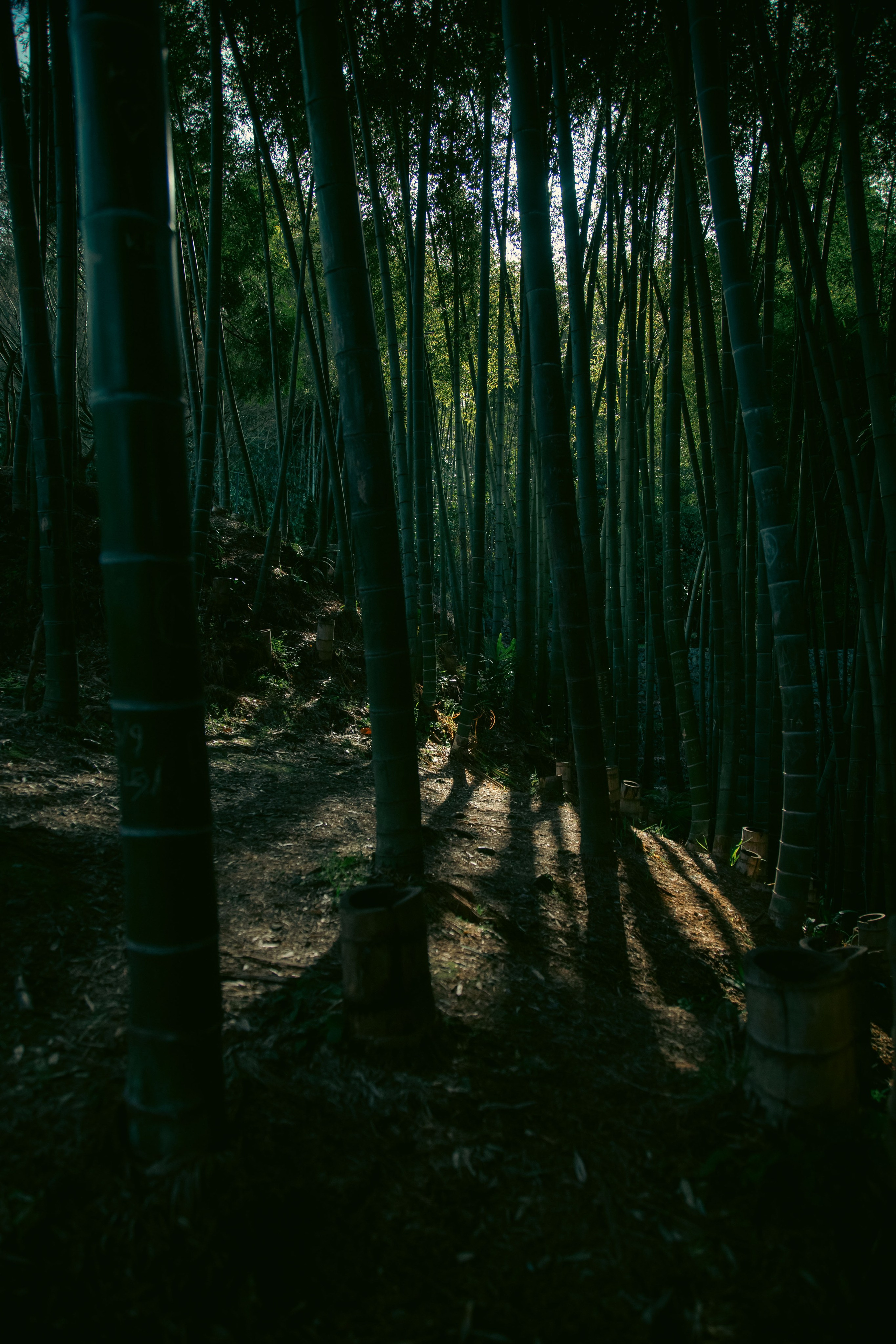 Batumi. Dmitriy [KCCC] is a pretty cool photographer