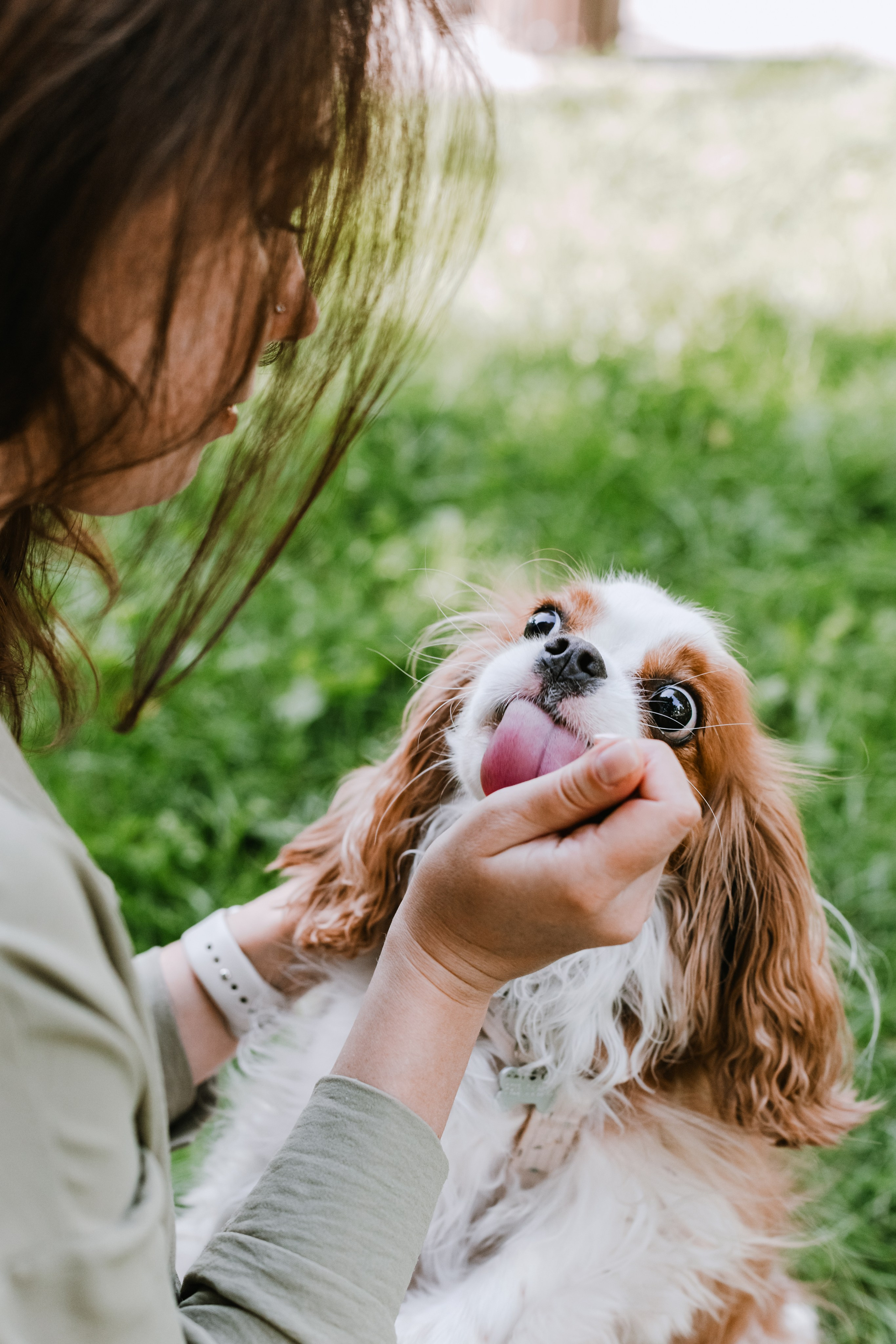 Фотопрогулка на бульваре. Фотограф-анималист Татьяна Степанова