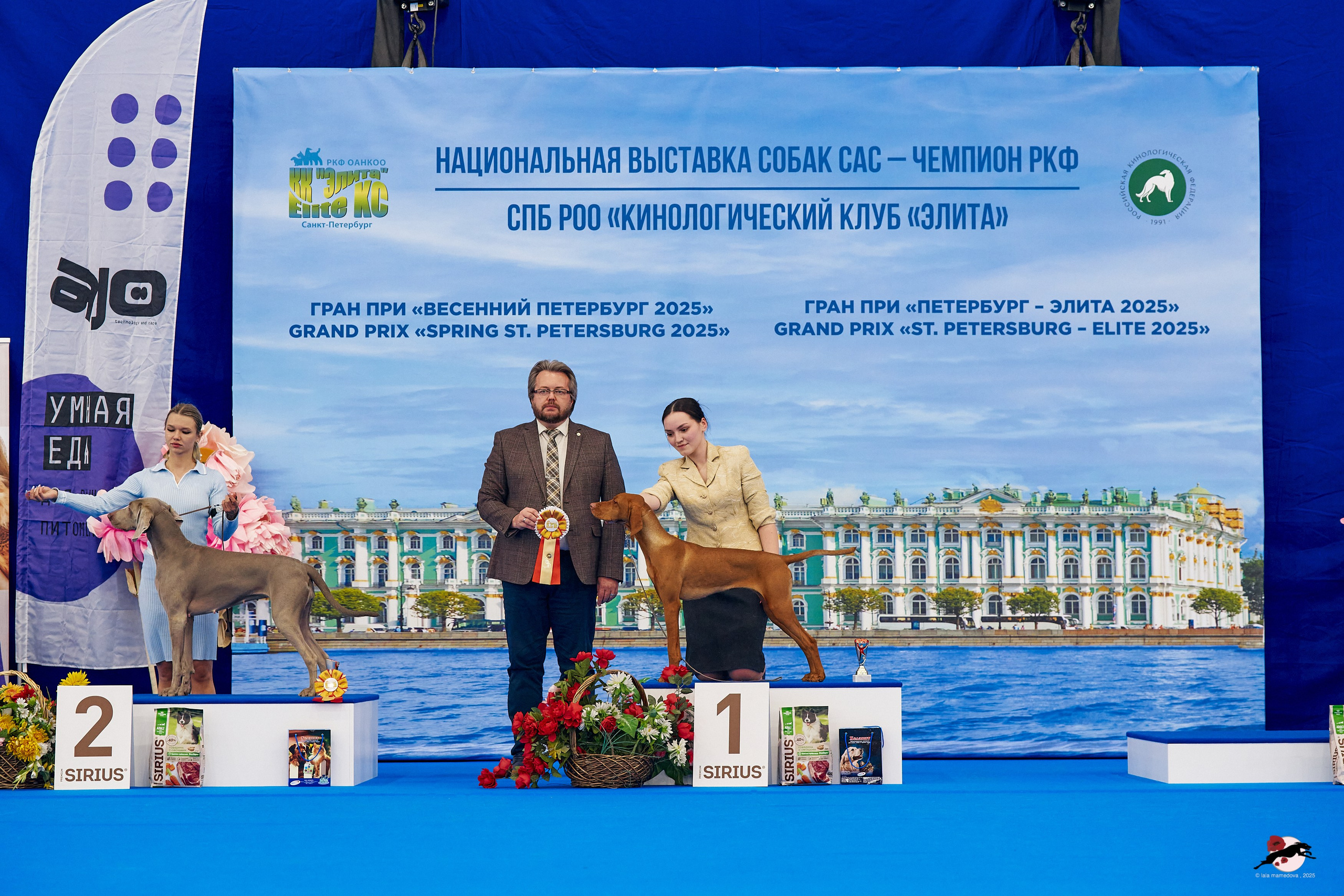 27.04.2025 | "Петербург-Элита 2025" & «КУБОК «ЭЛИТЫ»-2025»