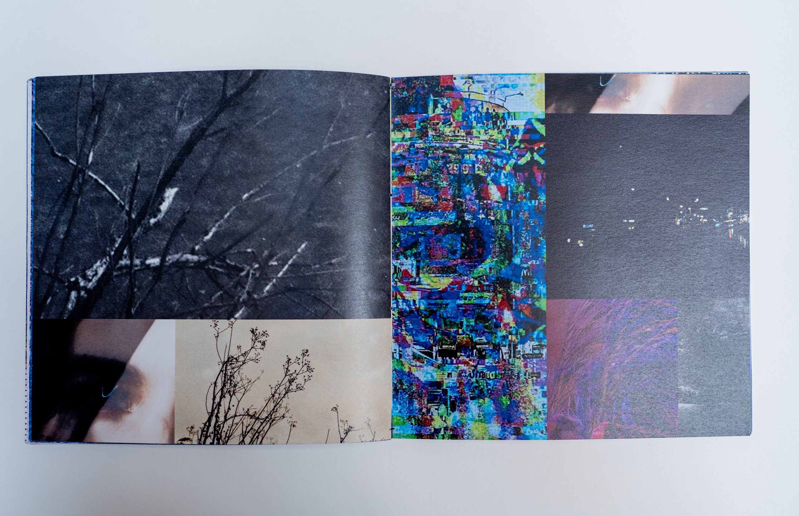 Шум. Катерина Эделева