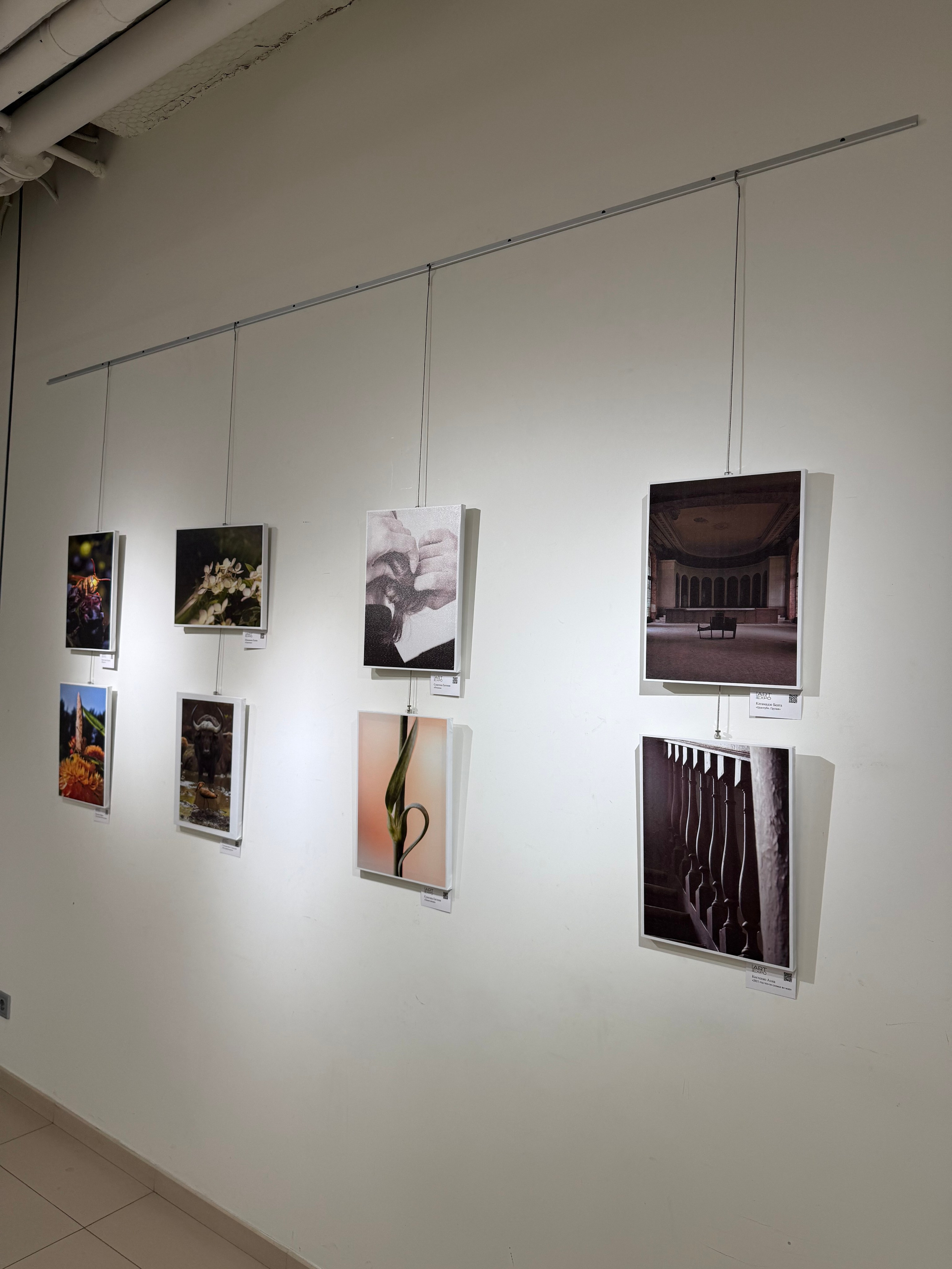 Ростов-на-Дону «Мир в Деталях» и «1000 лиц воды». ARTEXPOPHOTO