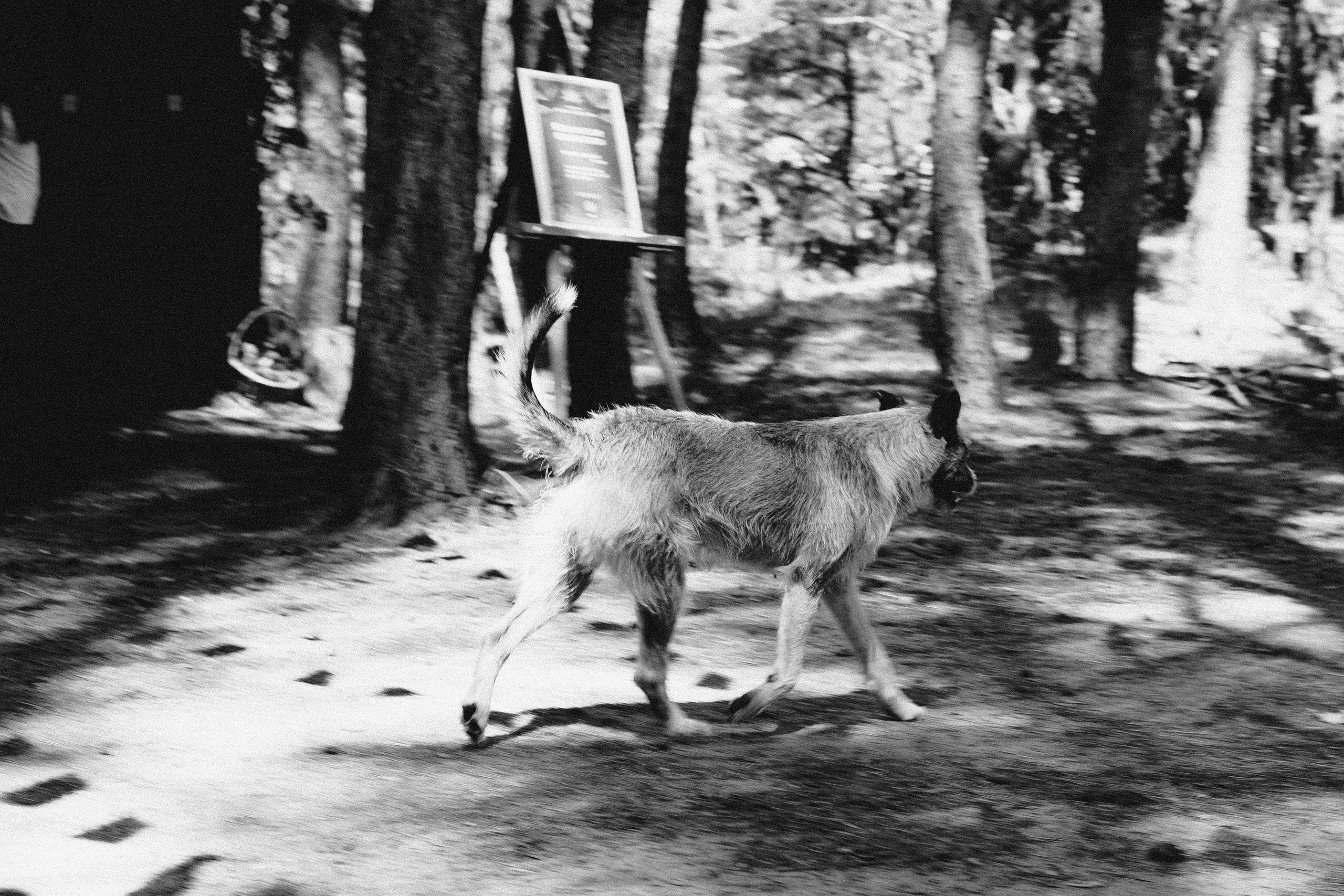Чакра 2024. Фотограф Старый Оскол Мавлыга Мария