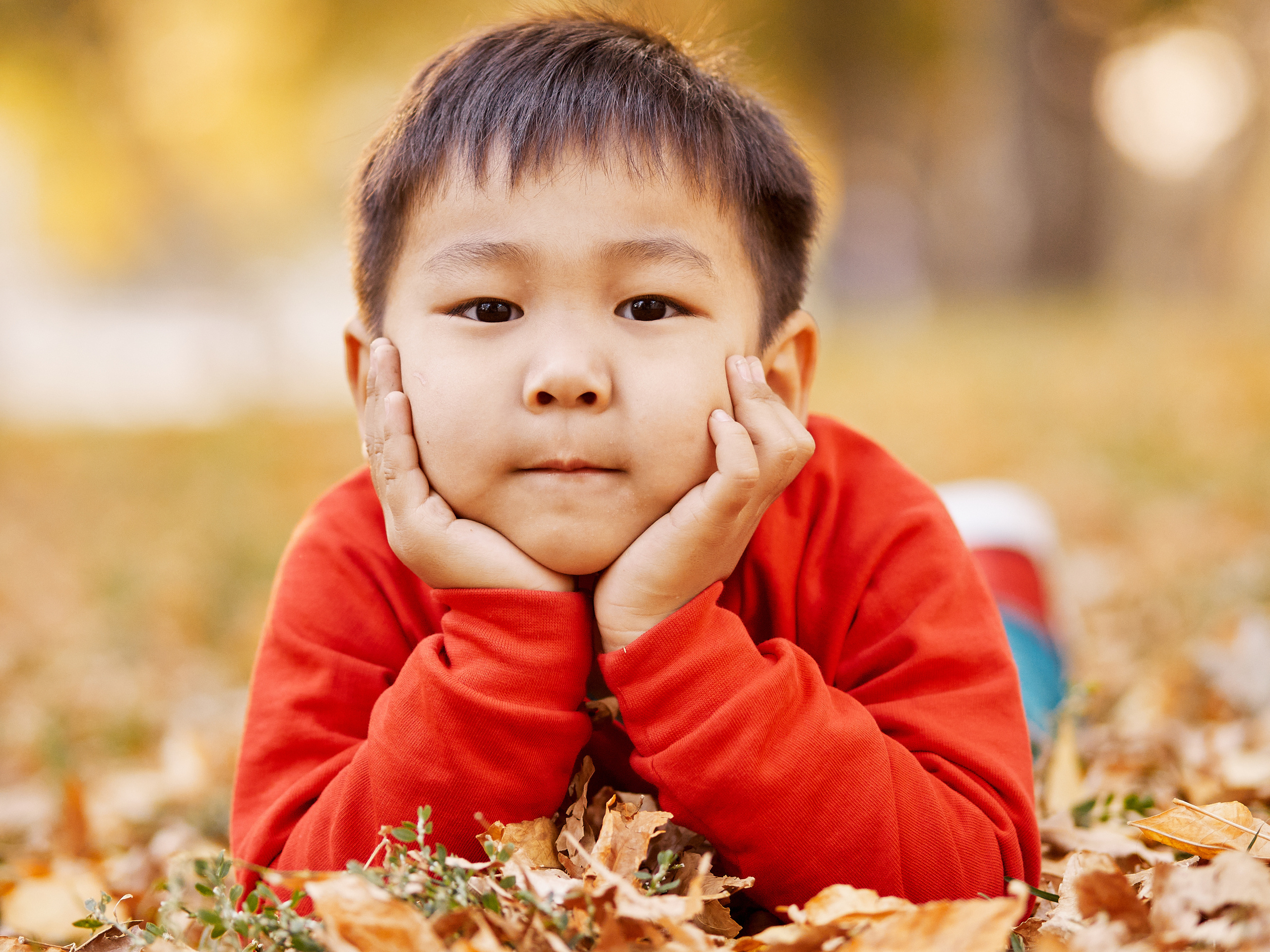 Семейная осенняя. Студийный, семейный, свадебный, фэшн и ню фотограф в Астрахани, производство выпускных альбомов. Руслан Кондрашин