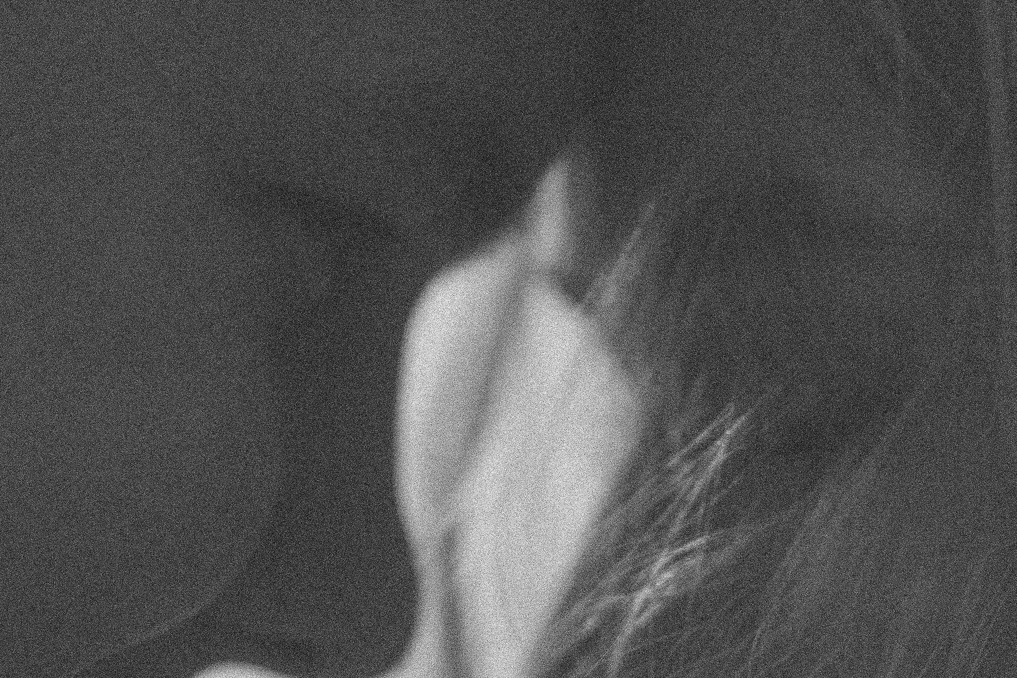 Любить тебя. Свадебный видеограф в Крыму Алина Мироманова