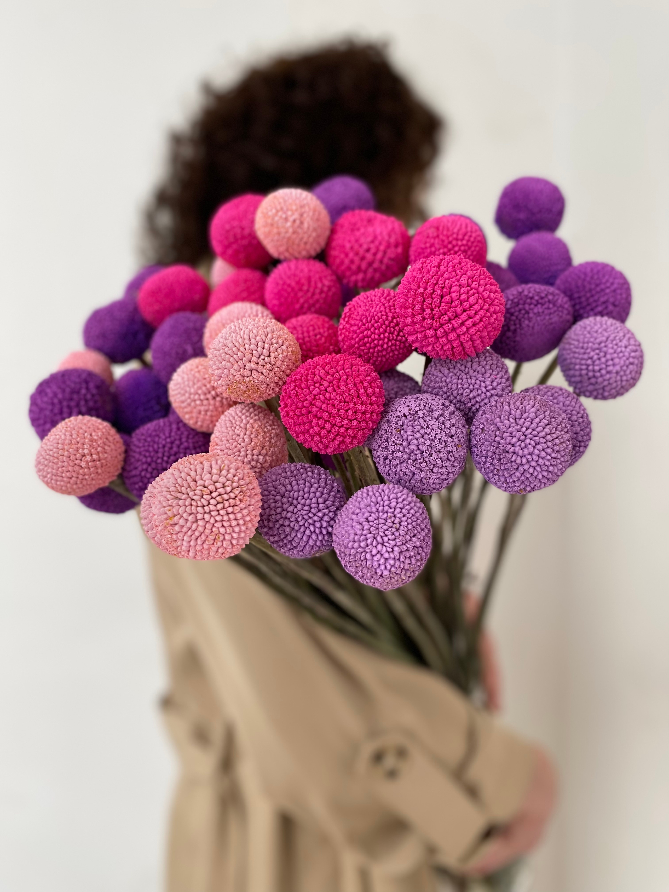 Симфония цветов Цветы Раменское Жуковский