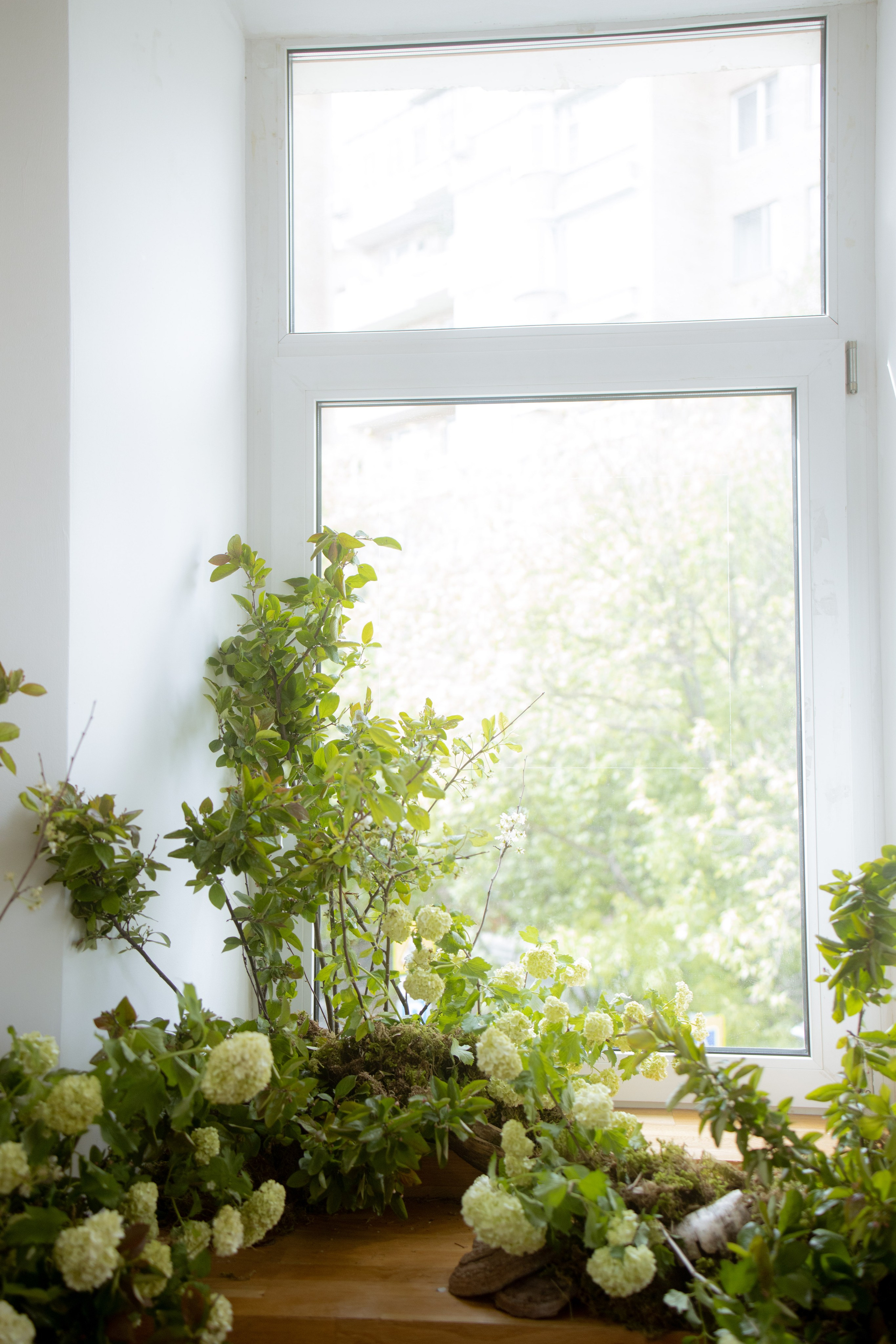 Утро Есении. Оформление свадеб, декор свадеб Вера Маркова, Москва