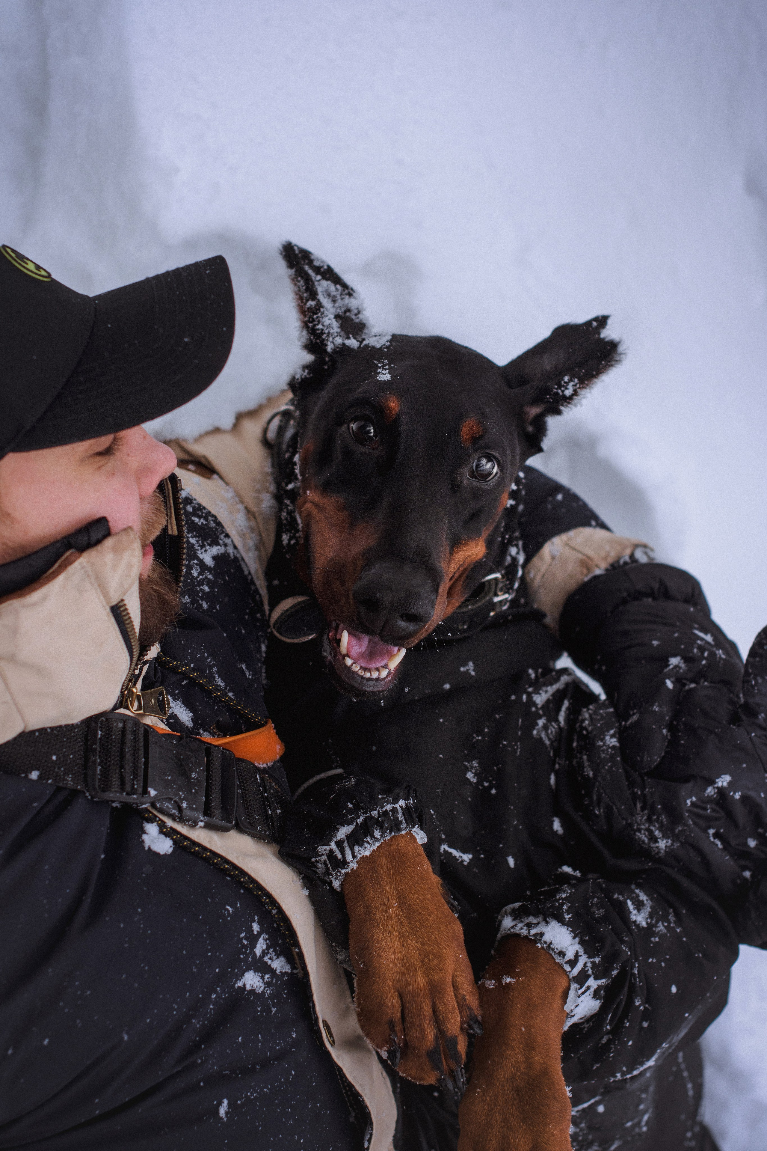 Фотосессия с собакой зимой в парке. Фотограф собак, анималист в Москве Кира Яковлева