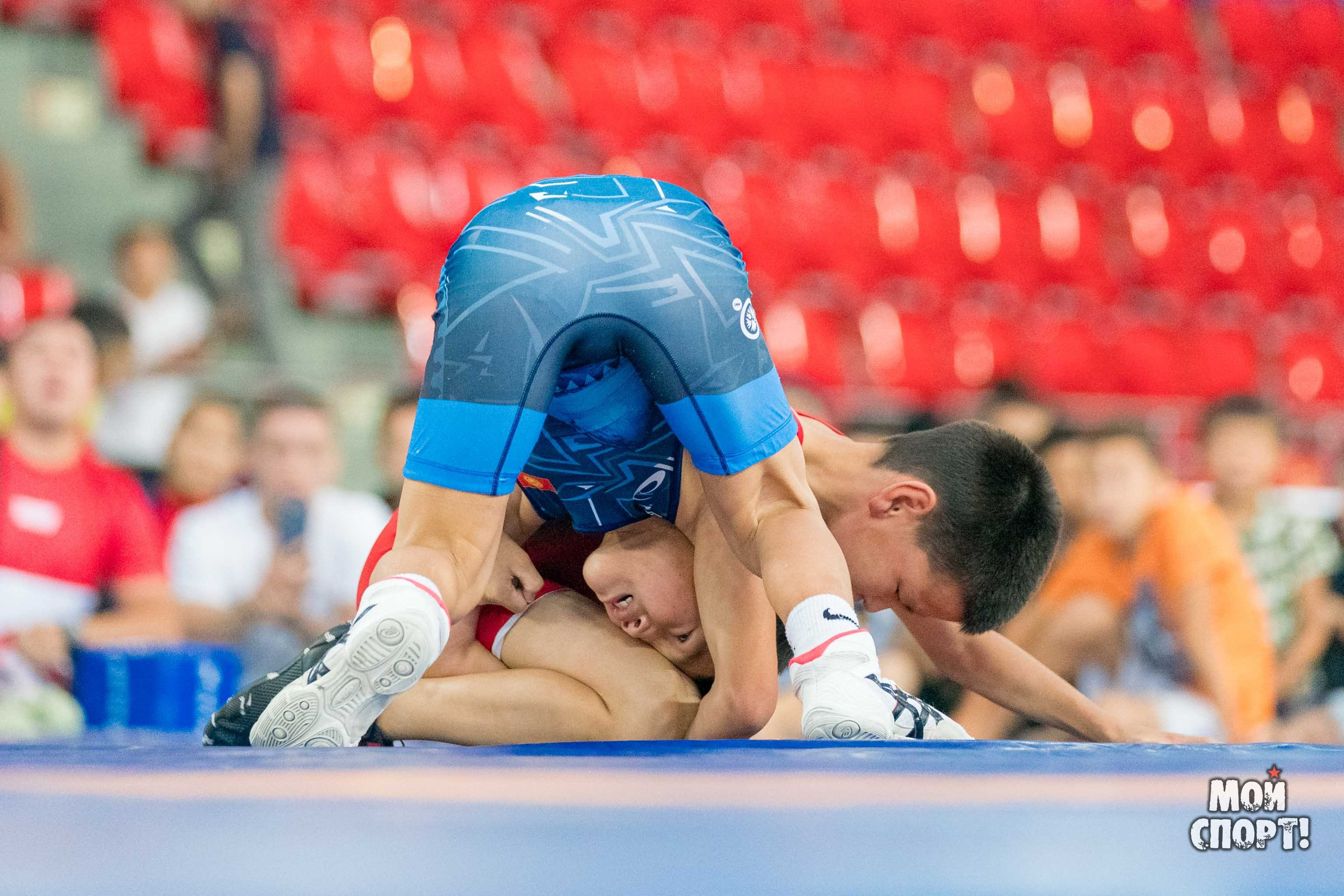 Соревнования по вольной борьбе в честь П. П. Пинигина. Студия «Мой Спорт!» — все о спорте в Якутии