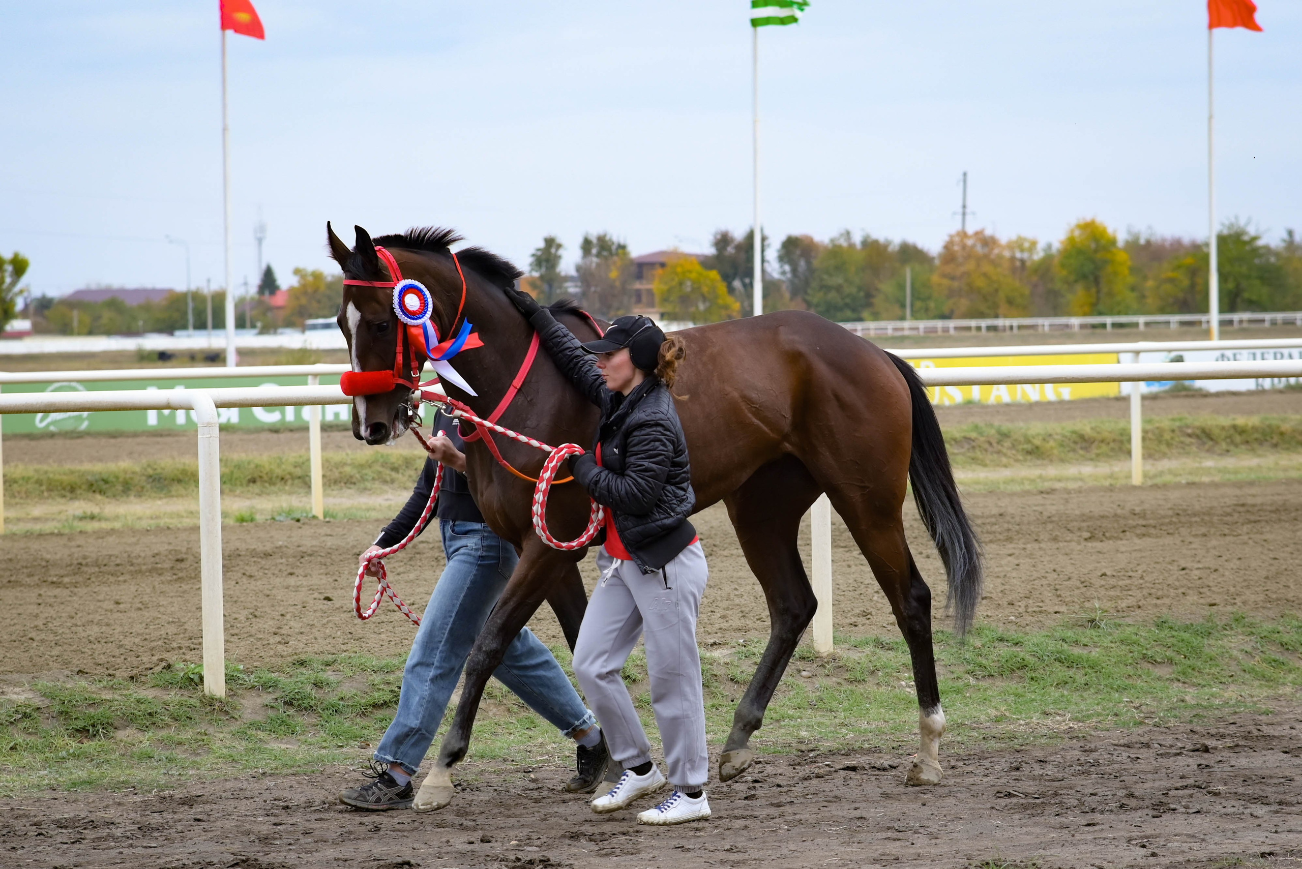 Закрытие скакового сезона 2024 г. Краснодар. Фотограф Краснодар Наталья Сувит