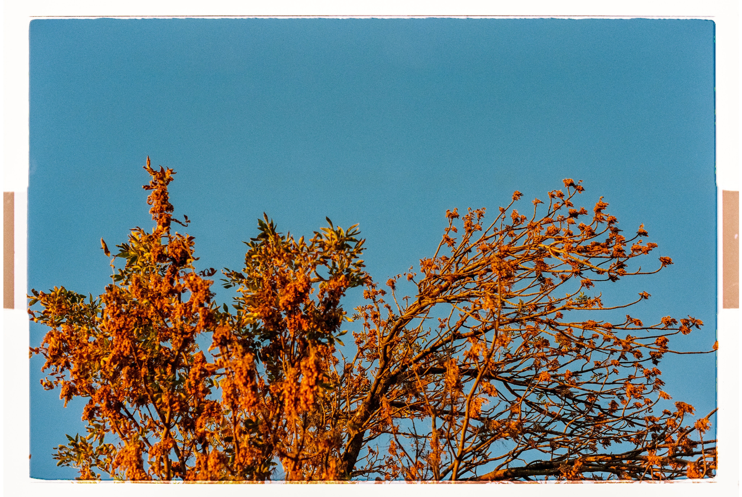 Nizhniy Novgorod. ANNA — PHOTOGRAPHER