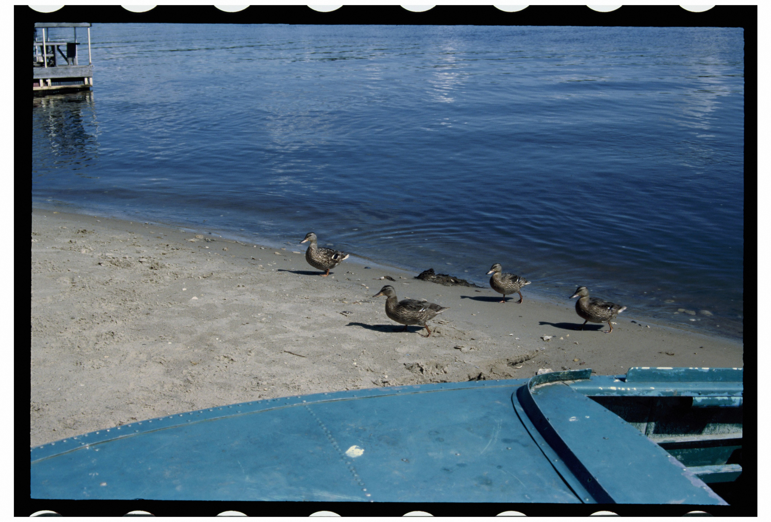 KALUGA. ANNA — PHOTOGRAPHER