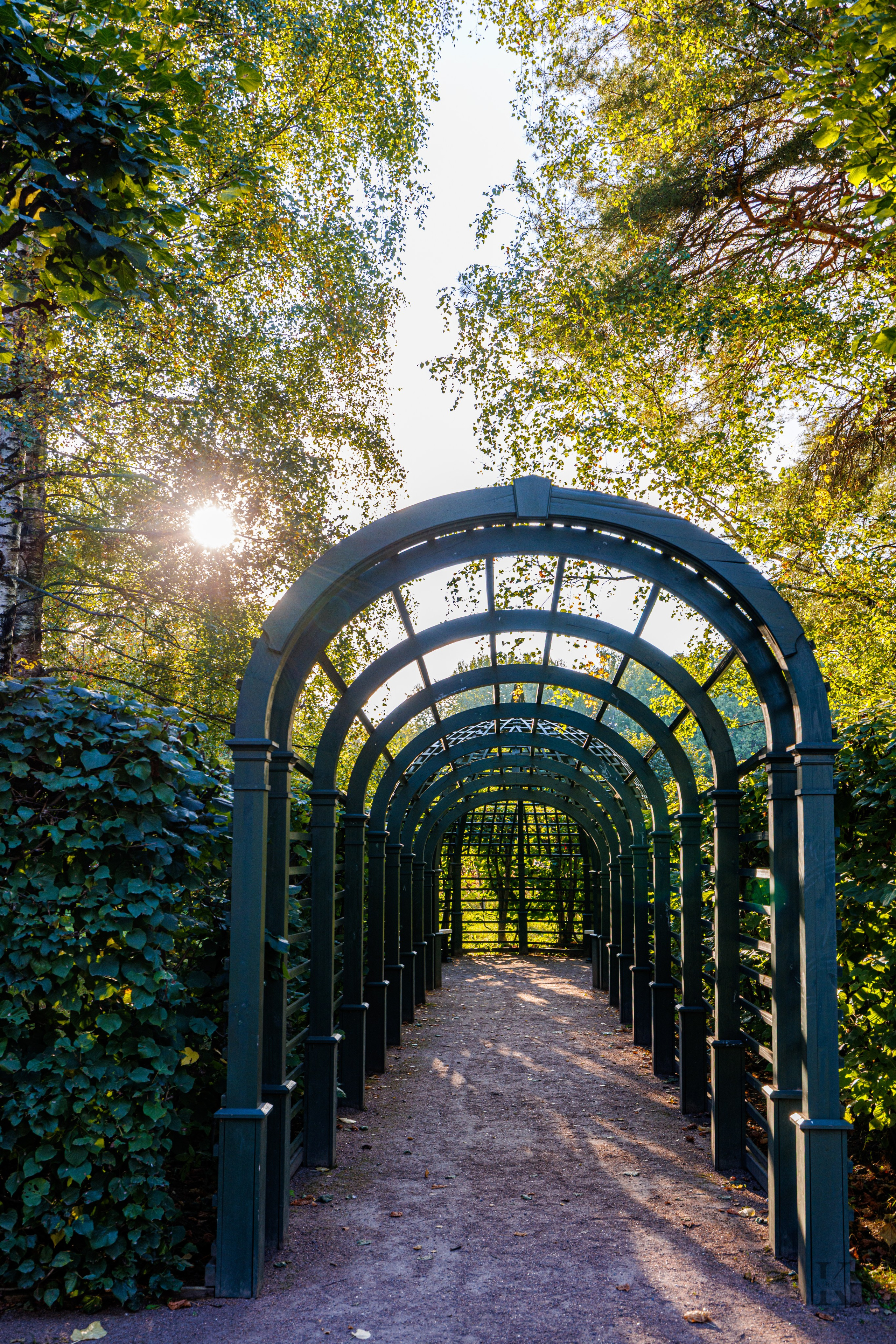 Усадьба Кусково. Осень 2025. Фотографирую жизнь! Московский фотограф волонтер