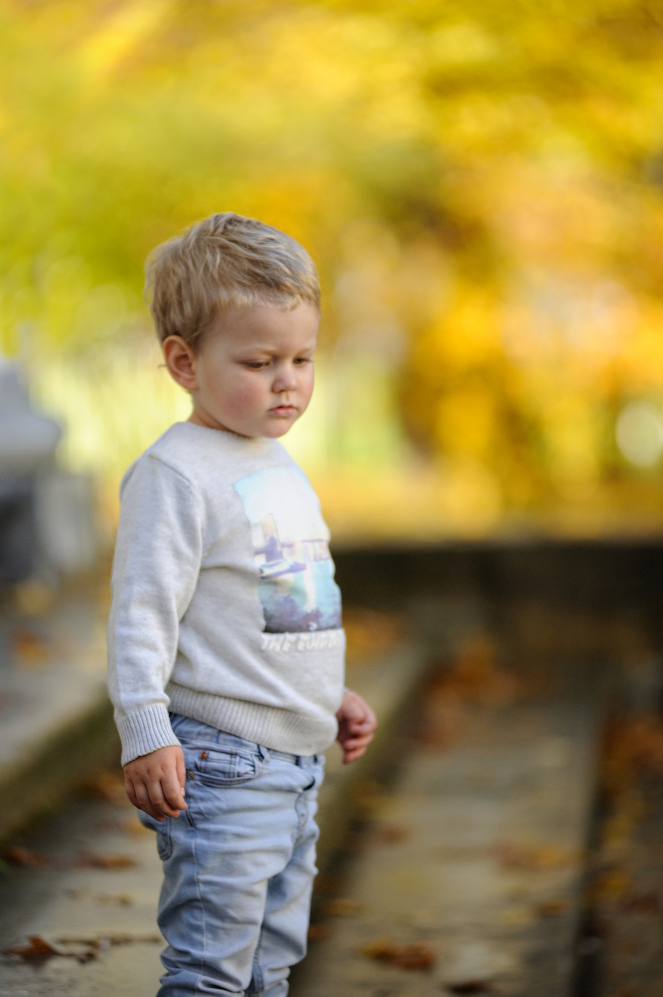 Осенняя прогулка в ЦПКиО. Фотограф в Санкт Петербурге Александра Вильдгрубе