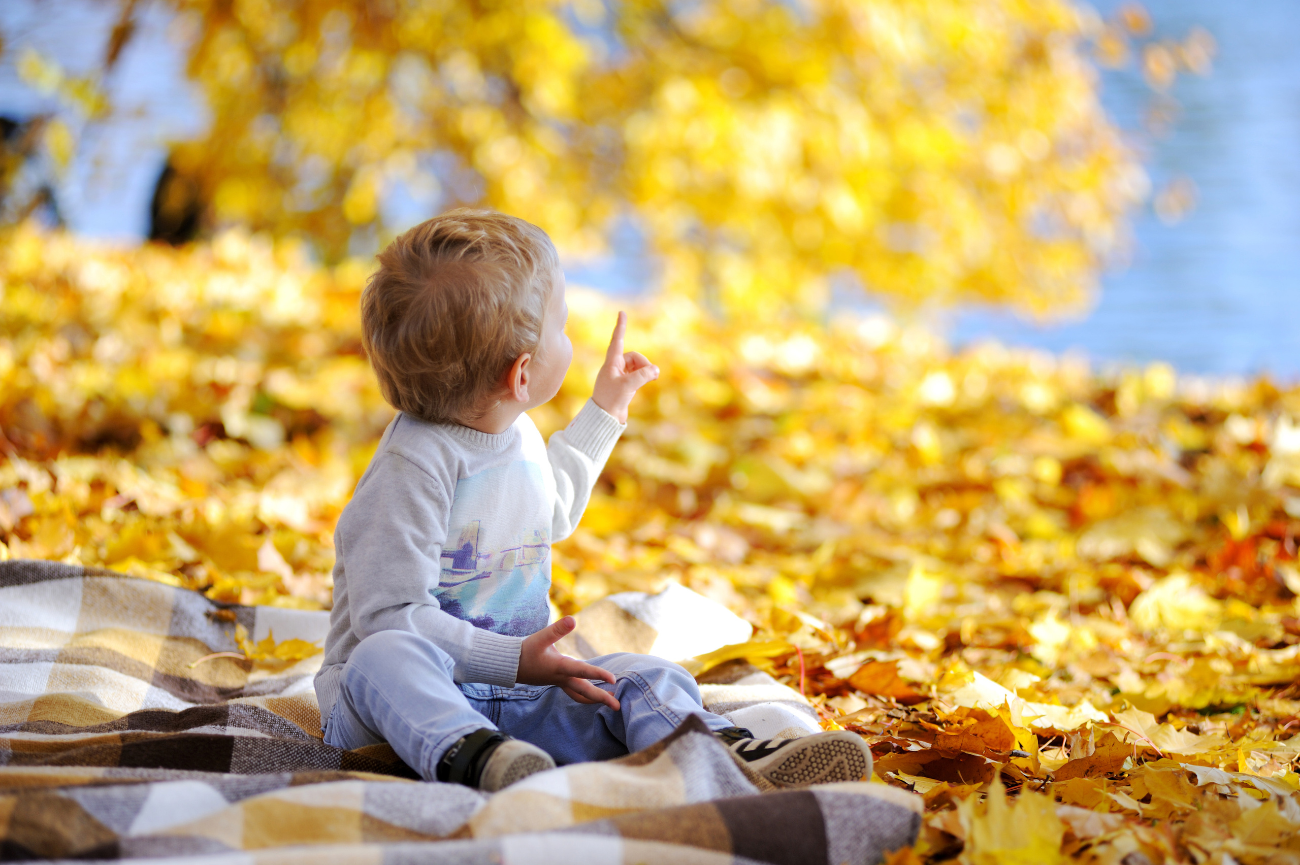 Осенняя прогулка в ЦПКиО. Фотограф в Санкт Петербурге Александра Вильдгрубе