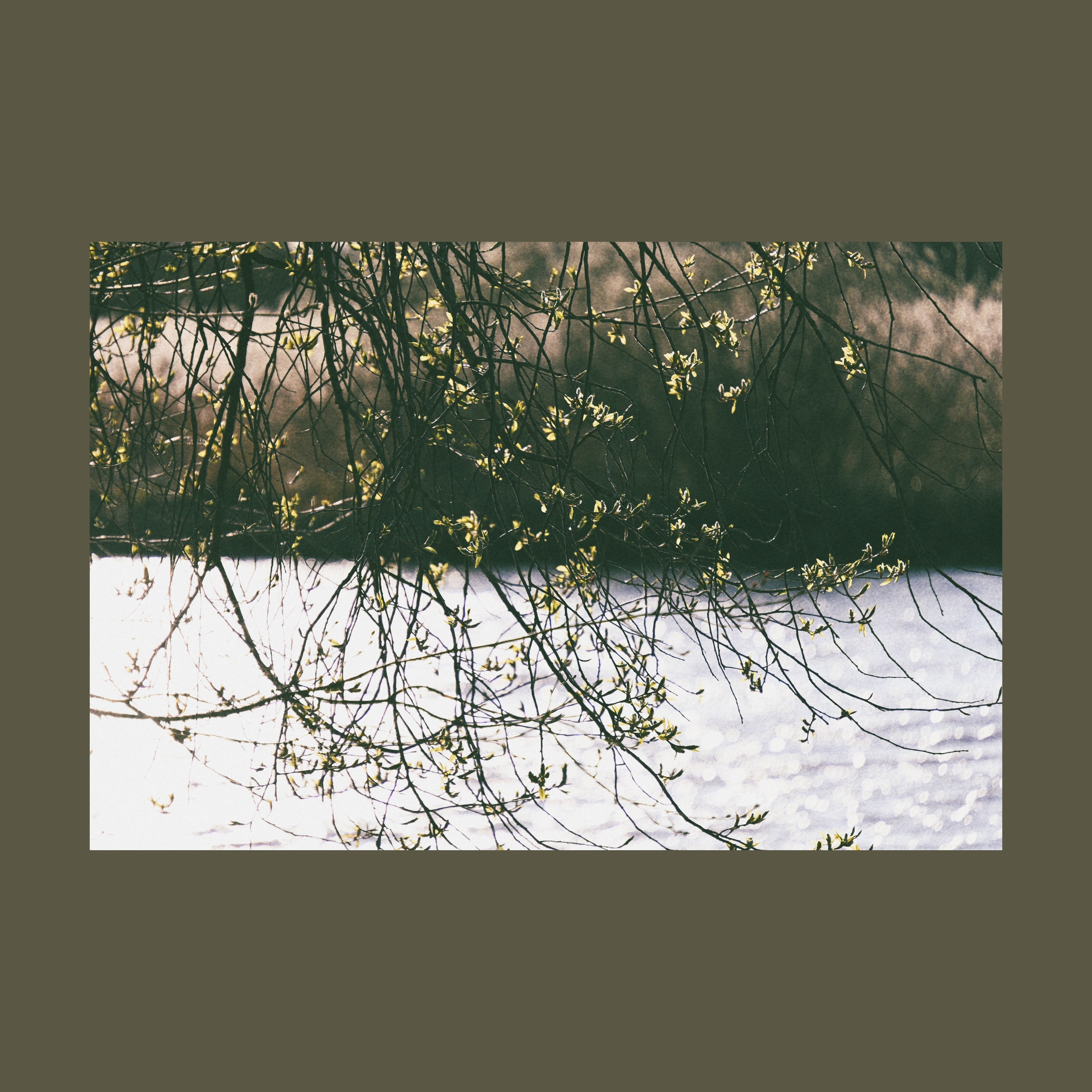 Тишина между берегами (серия). Мистические фотосессии в Санкт-Петербурге от мистика Ильи Шенгелия