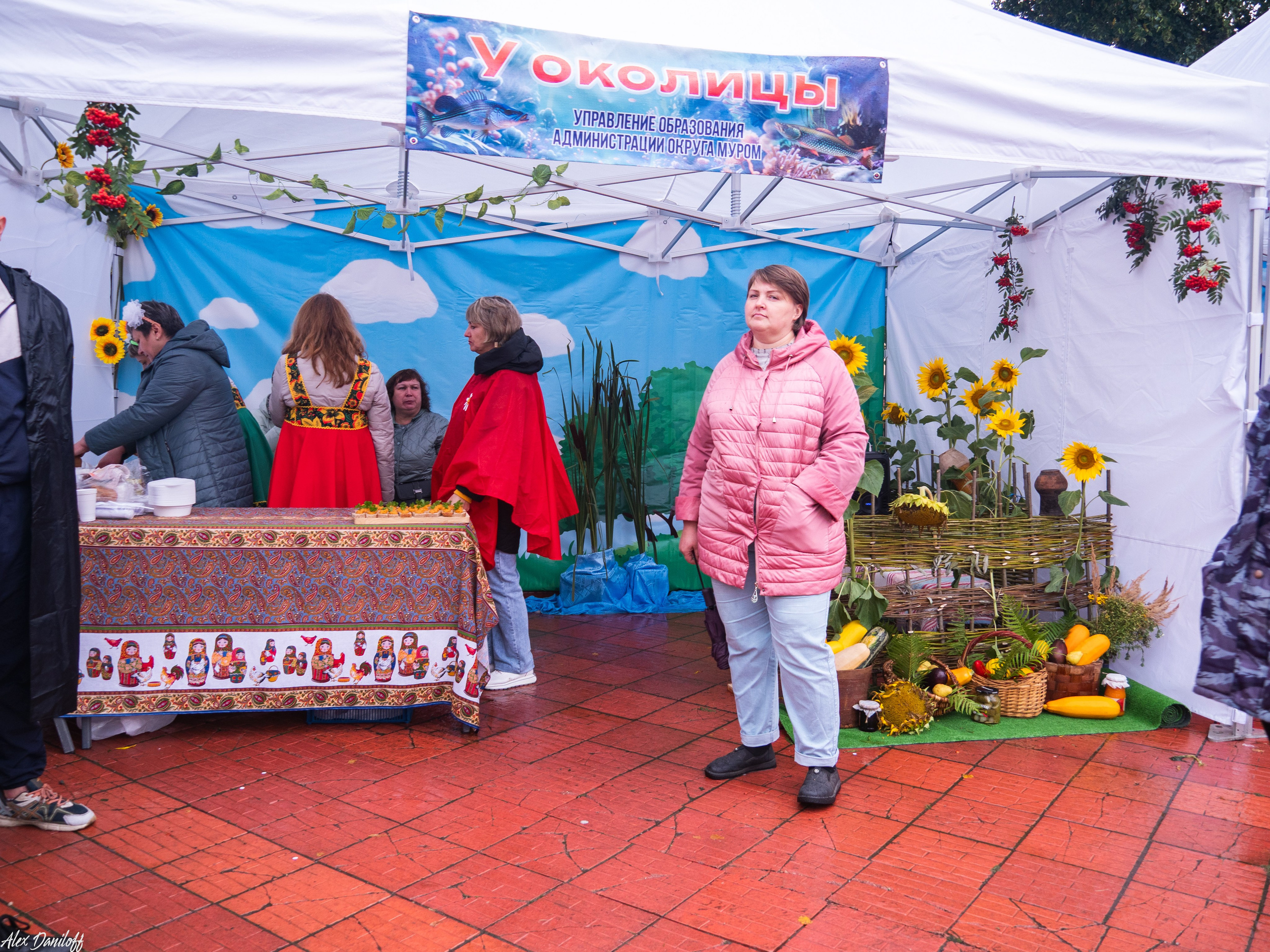 День города Муром 2025. Муром-Инфо. Новости культуры, образования, спорта в городе Муром