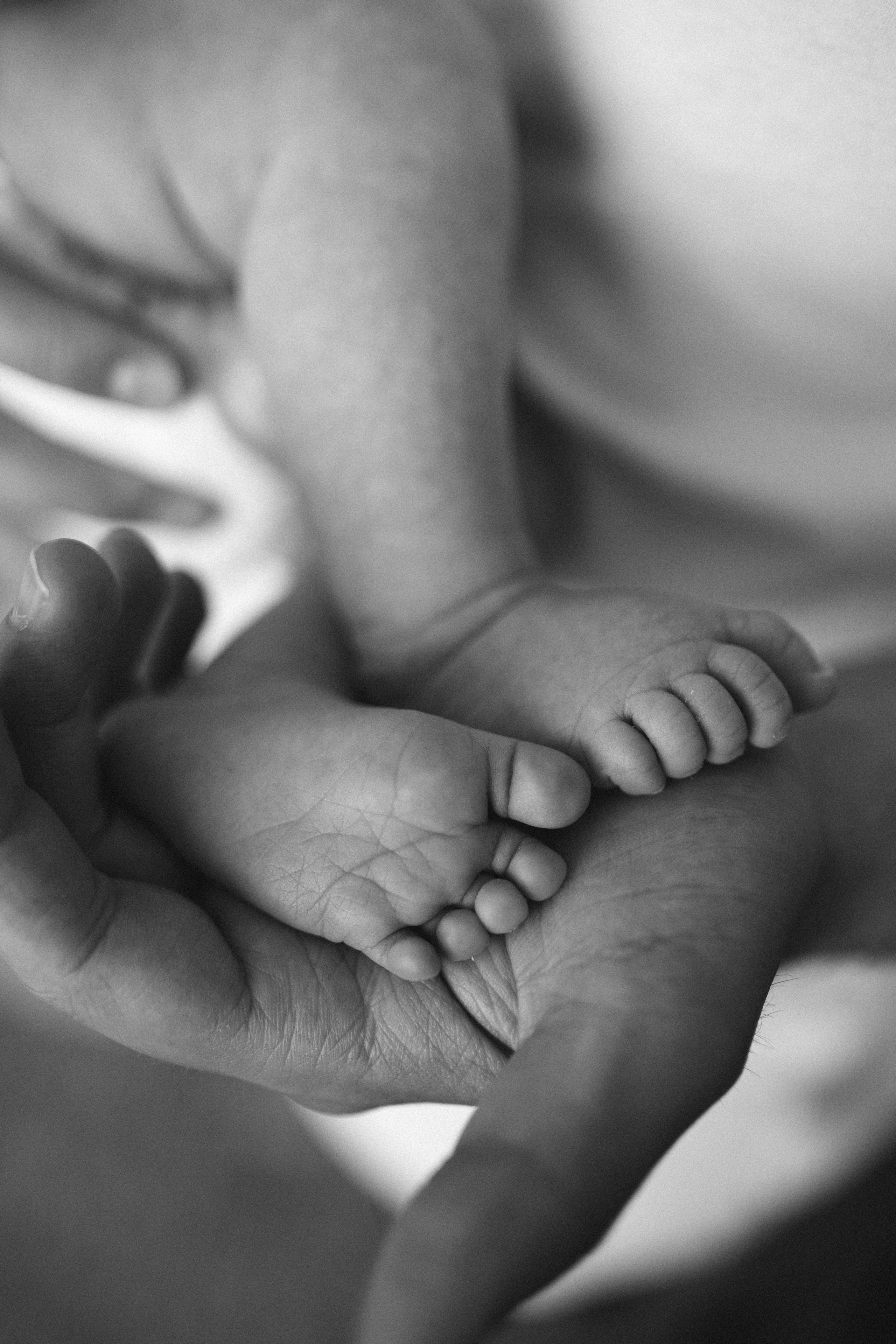 Семейная фотосессия для новорожденного. Фотограф Валерия Горбунова Подольск Бутово Видное Щербинка