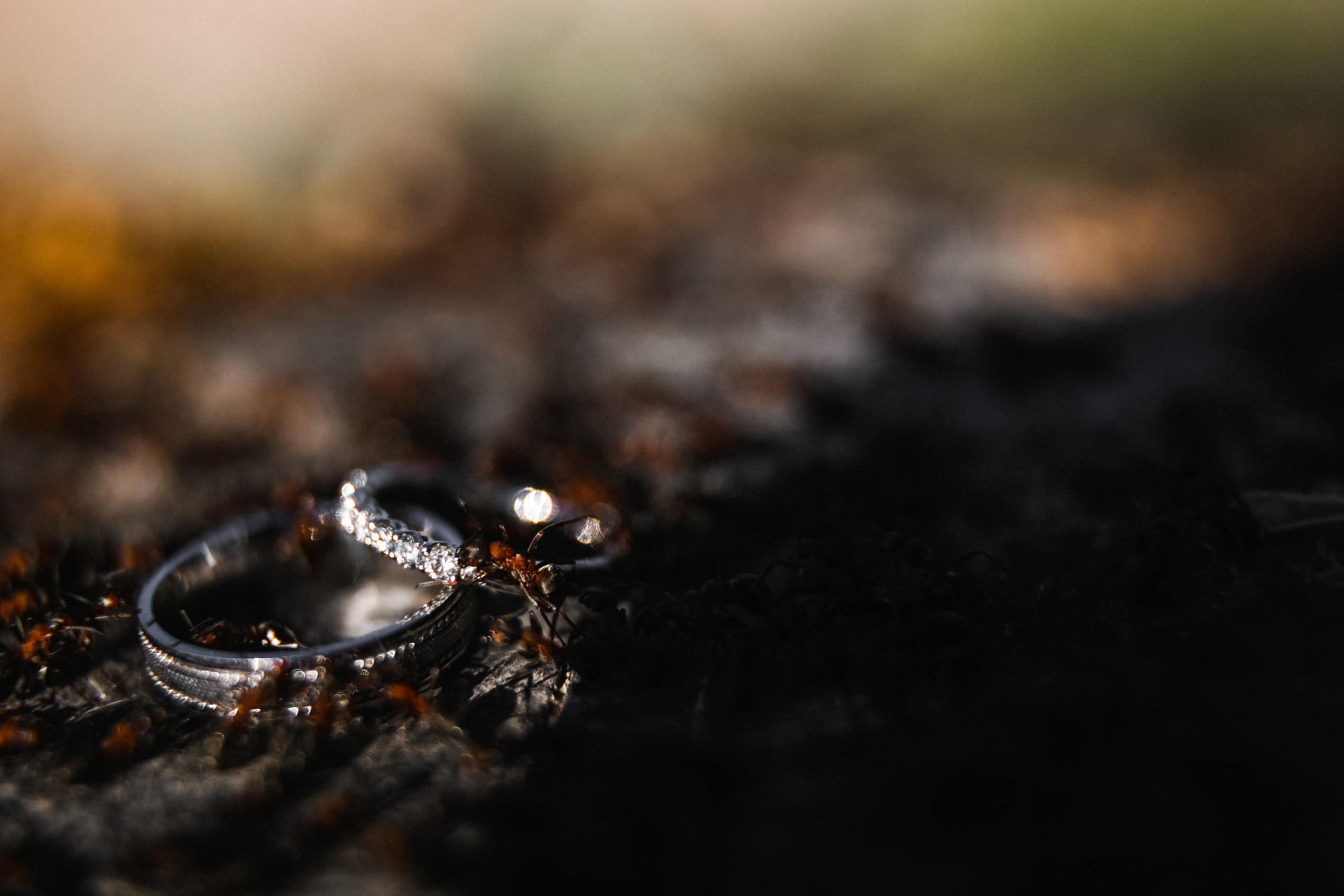Екатерина и Станислав-2017. Свадебный и семейный Фотограф Денис Кошель