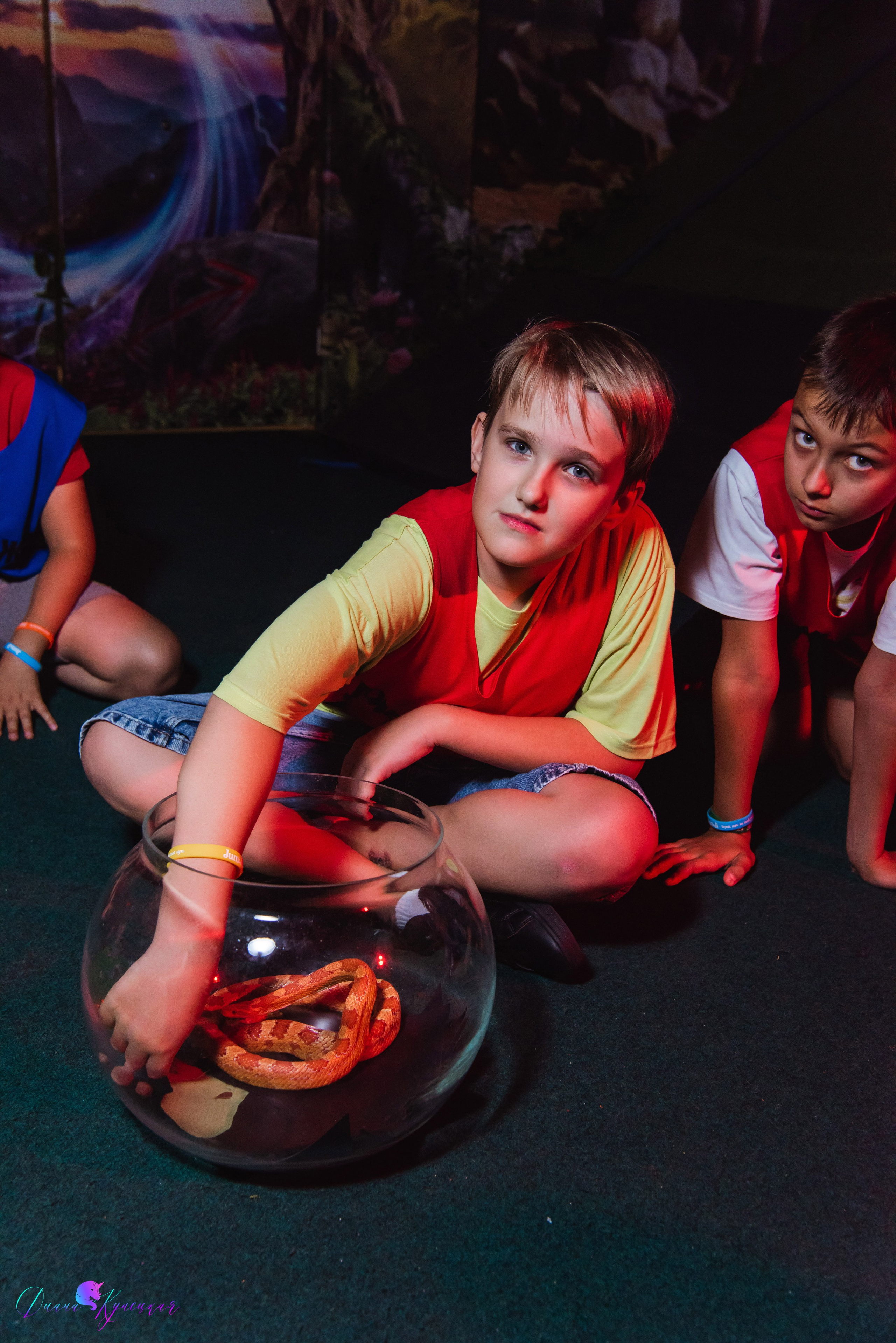 День Рождения Арсения. «Джуманджи Красногорск». Свадебный и арт-фотограф Кунецкая Диана