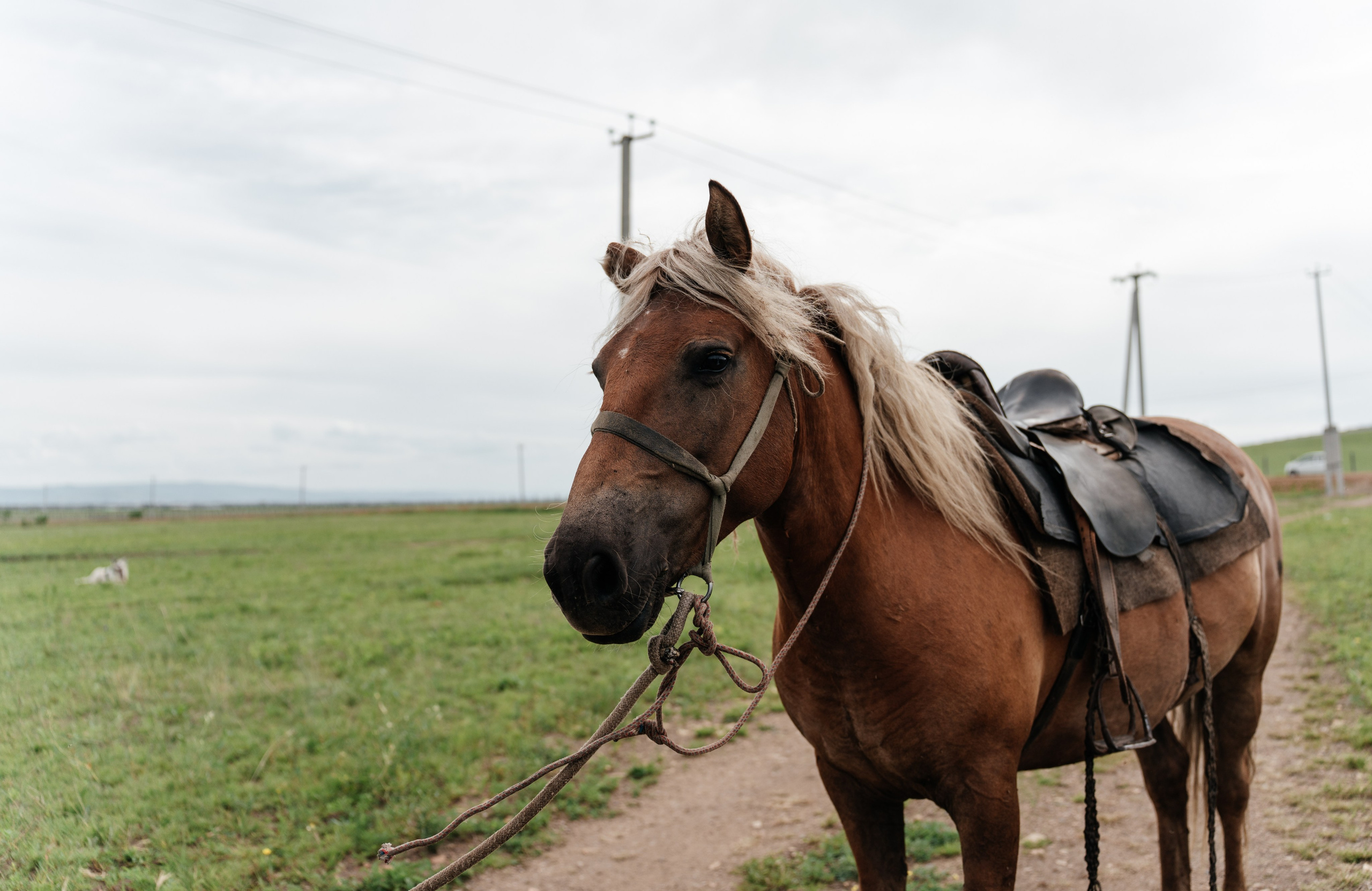 Аквадискотека. Свадебный Фотограф Чита Малахов Филипп