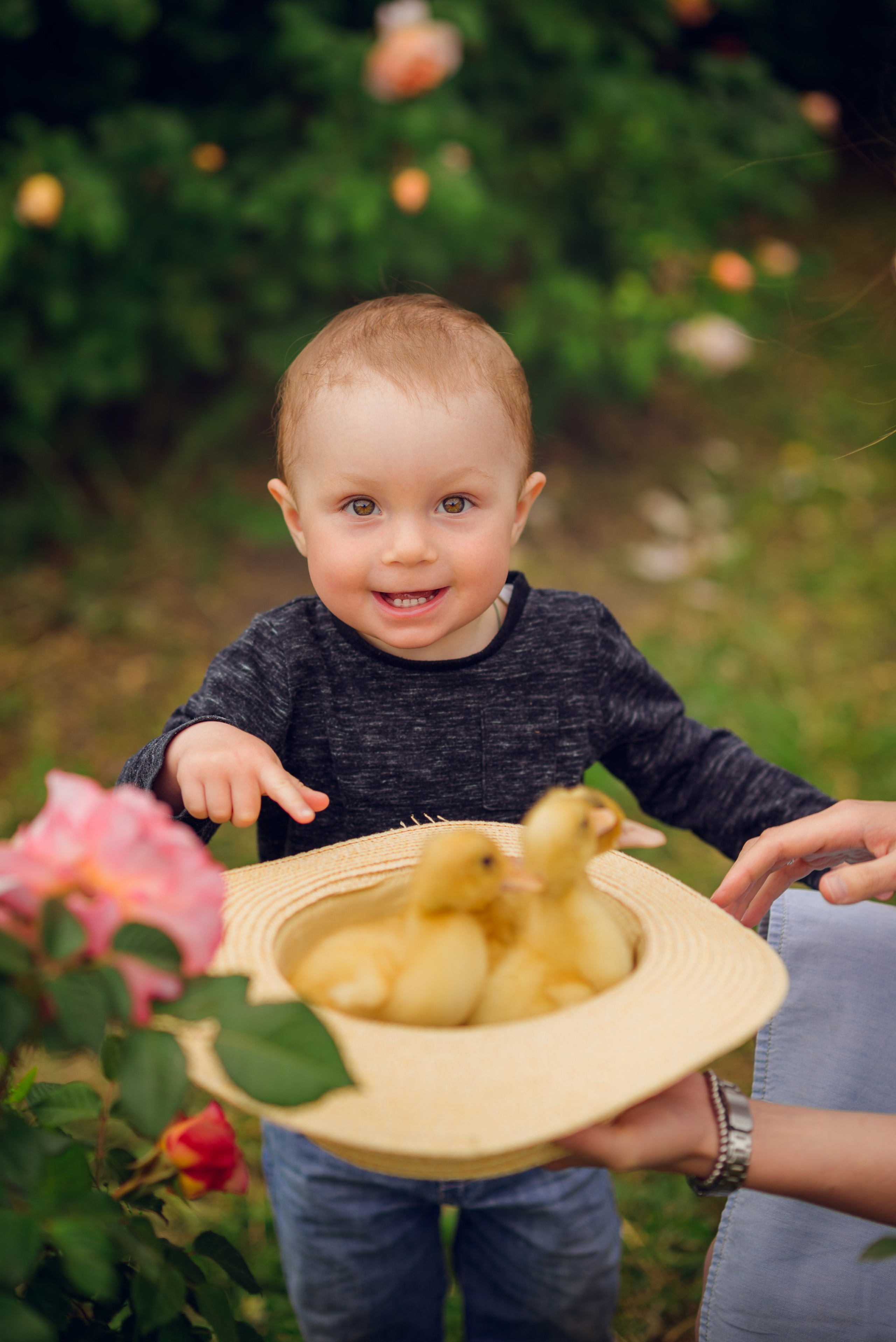 В розах. Семейный фотограф в Краснодаре