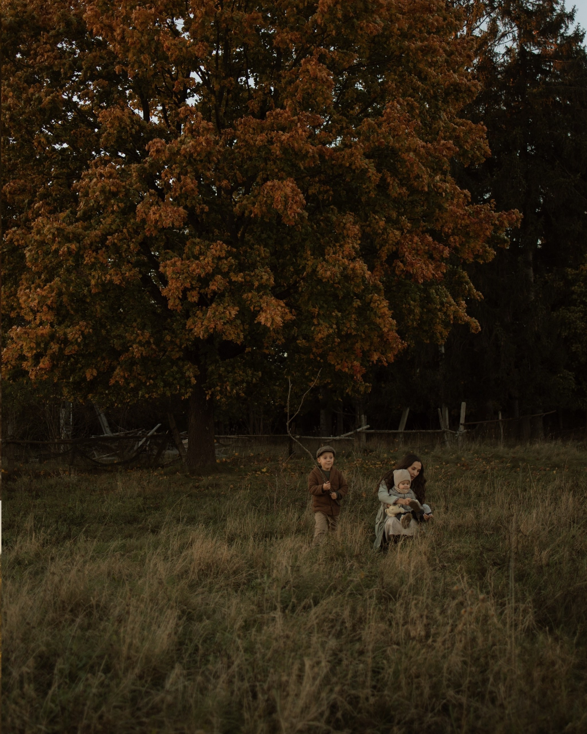 Семейные фотосесии 2025