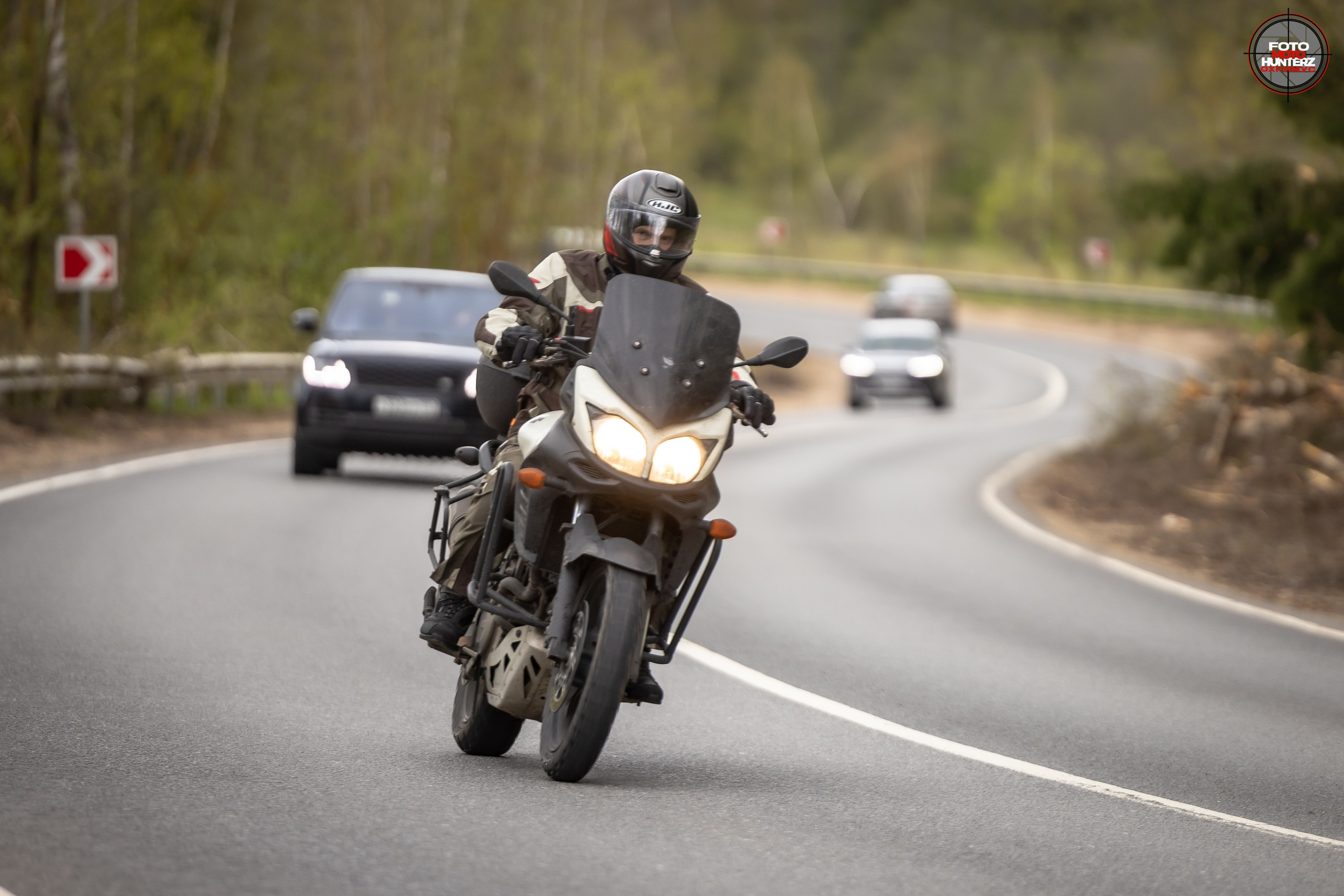 Первое Сафари в 2025 г. на Рогачевском ш. Фотограф Владимир Охрименко