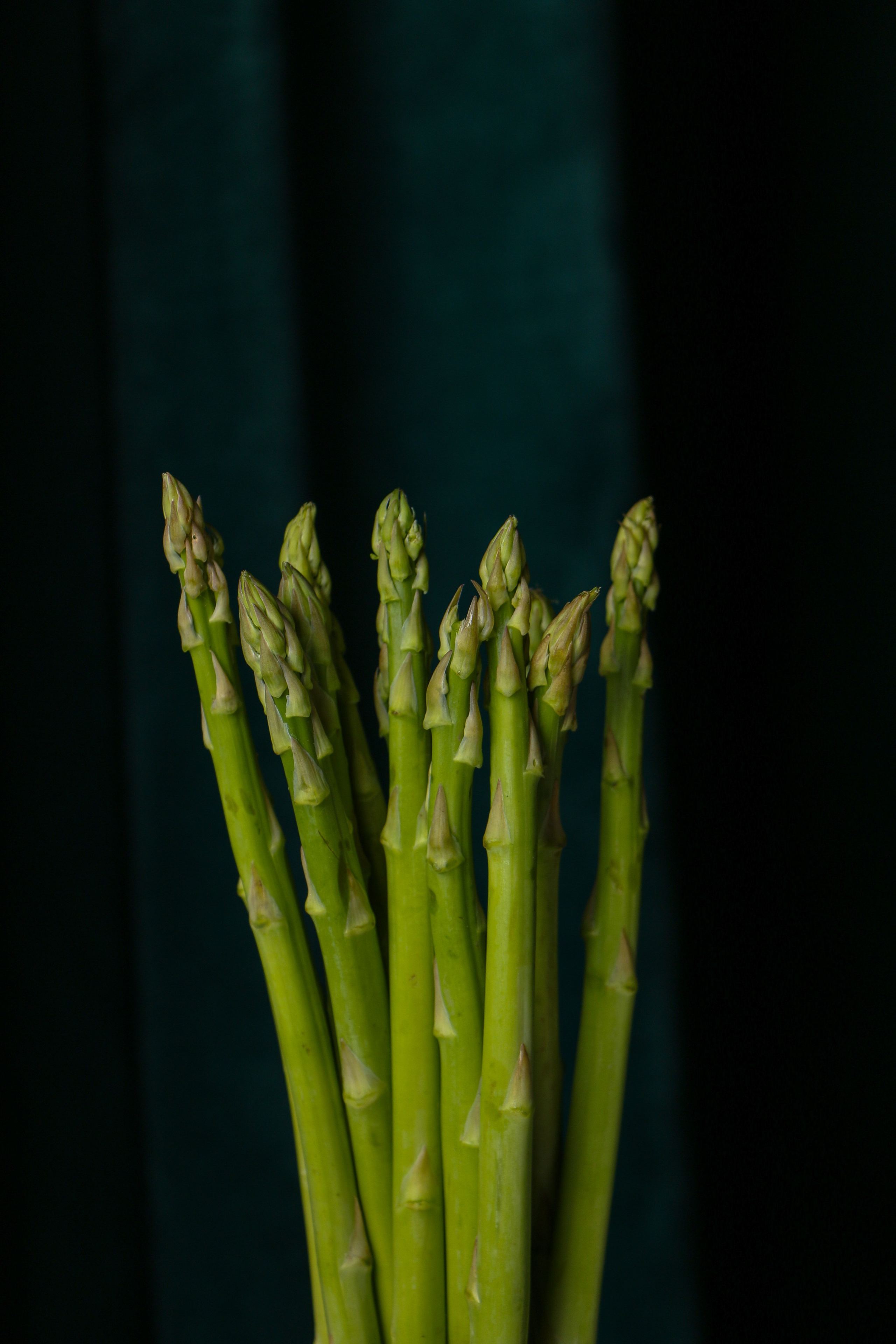 Dolce vita. Контент-фотограф Калининград АНАСТАСИЯ ТКАЧЕВА