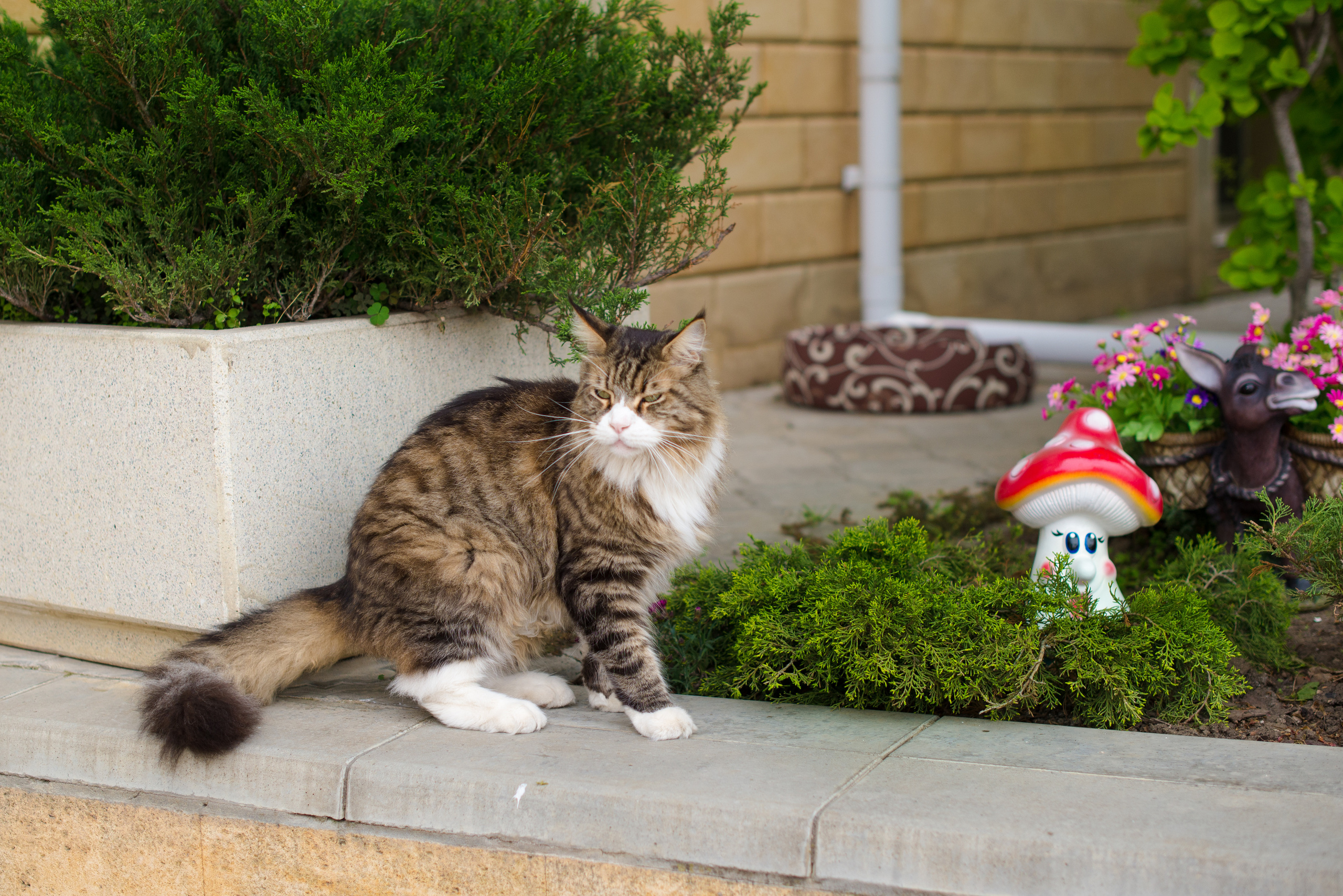 Олель «Тихий берег». Фотограф в Краснодаре Альбрехт Амина