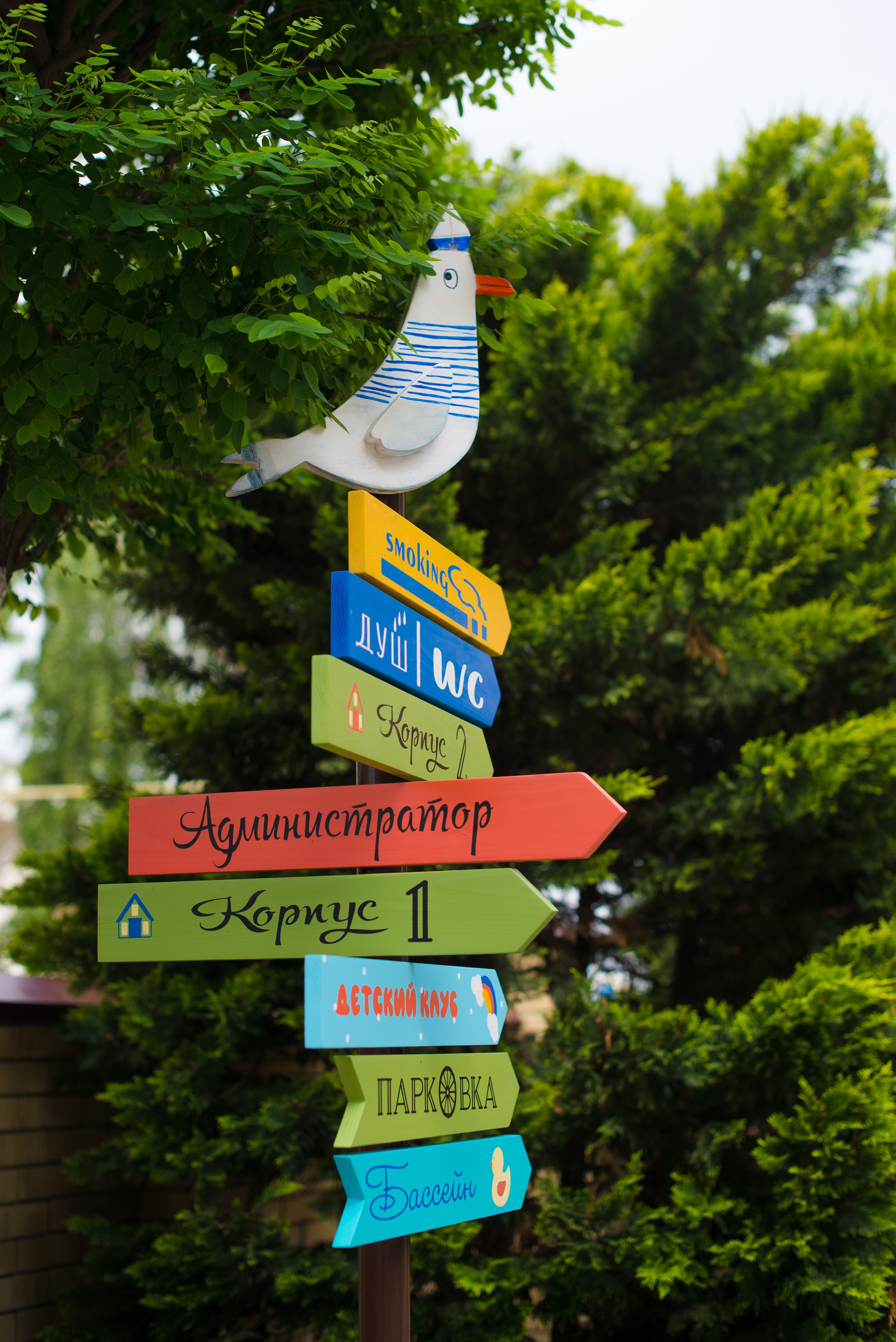 Олель «Тихий берег». Фотограф в Краснодаре Альбрехт Амина