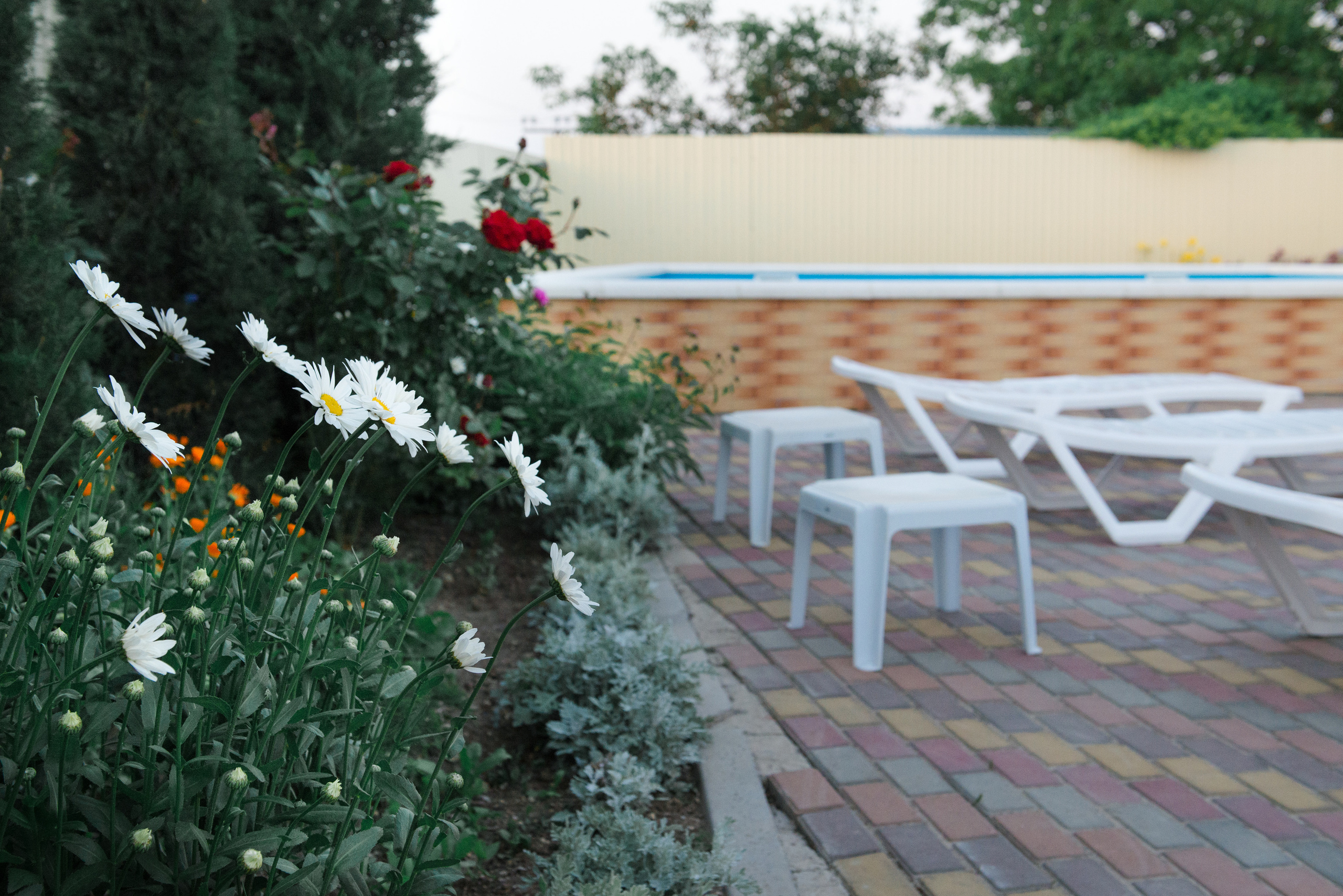 Олель «Тихий берег». Фотограф в Краснодаре Альбрехт Амина