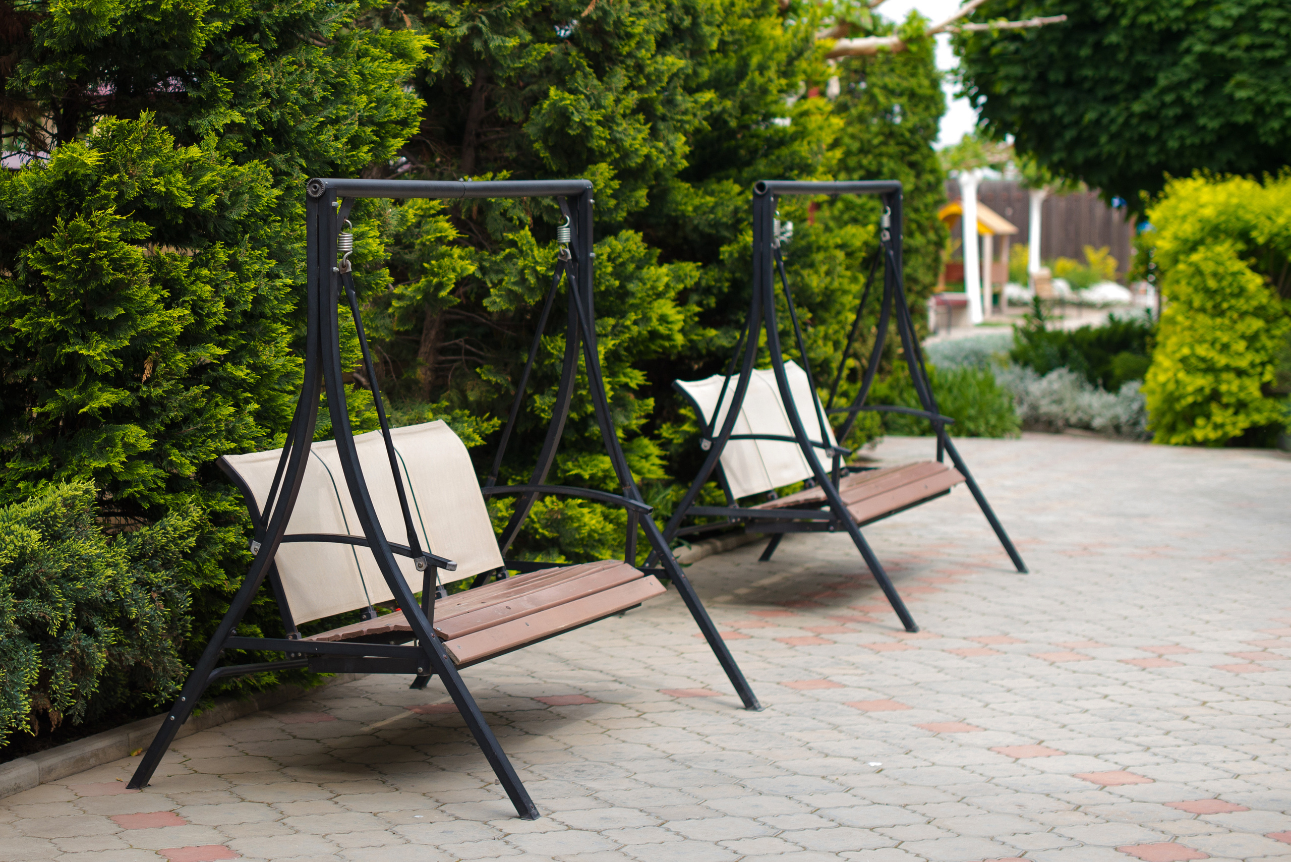 Олель «Тихий берег». Фотограф в Краснодаре Альбрехт Амина