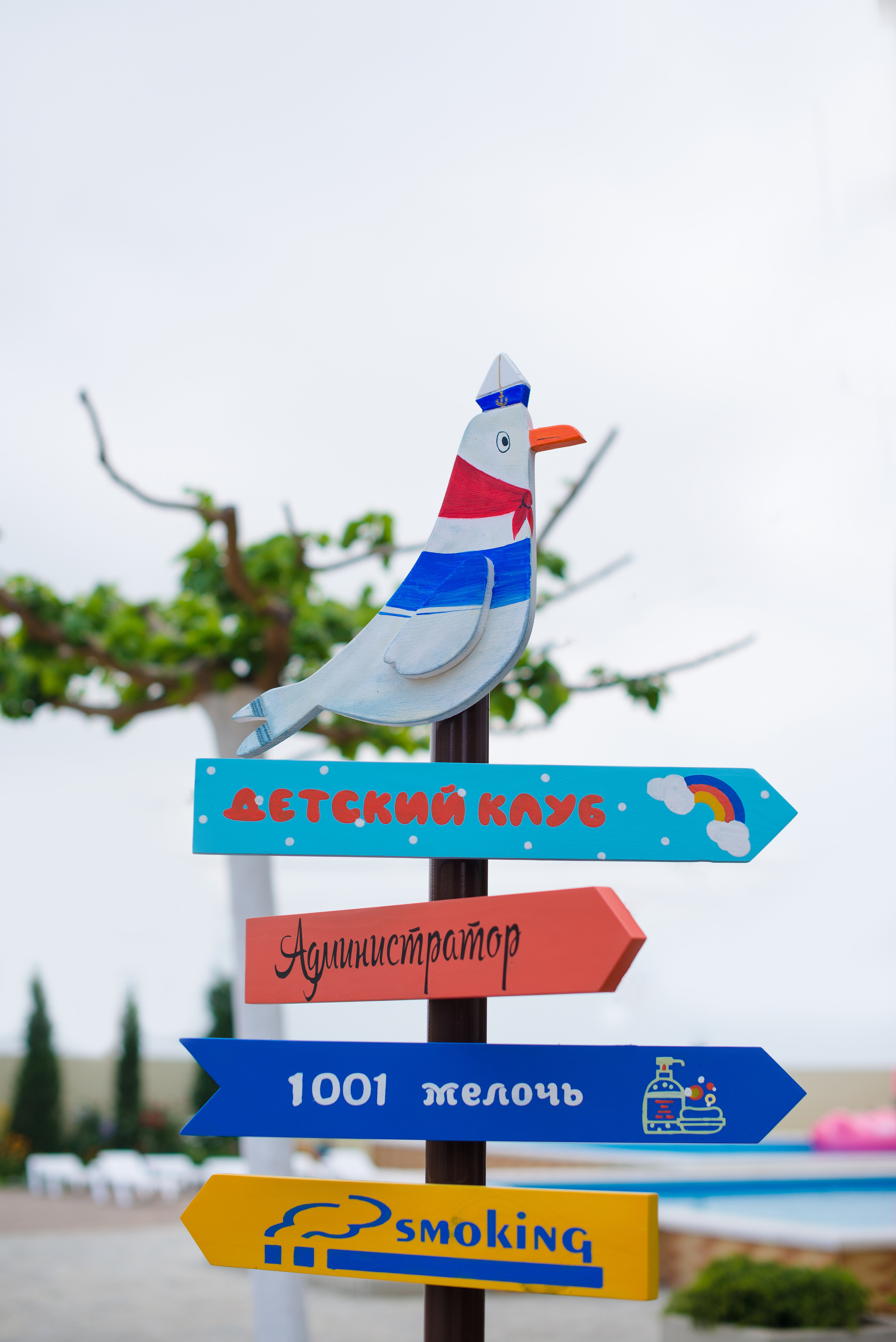 Олель «Тихий берег». Фотограф в Краснодаре Альбрехт Амина