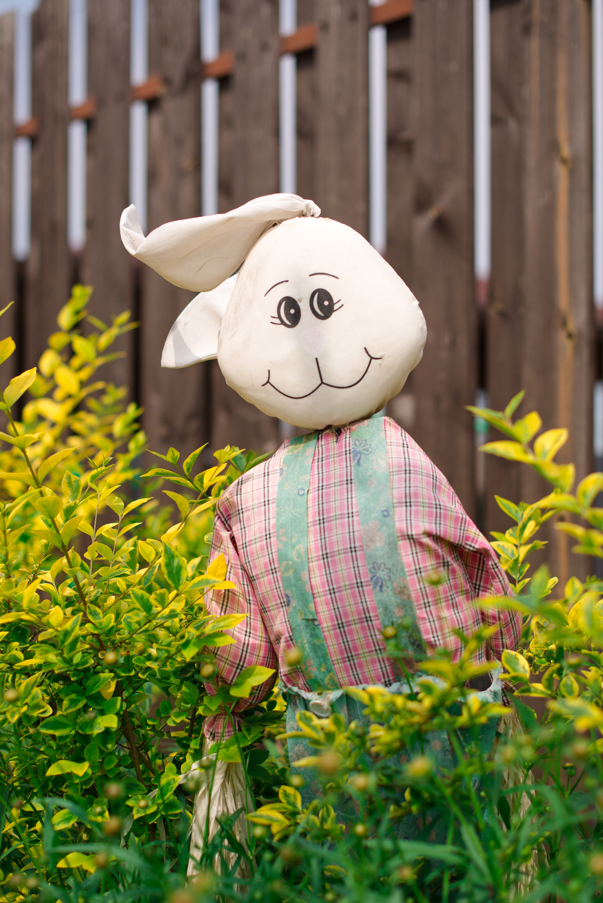 Олель «Тихий берег». Фотограф в Краснодаре Альбрехт Амина