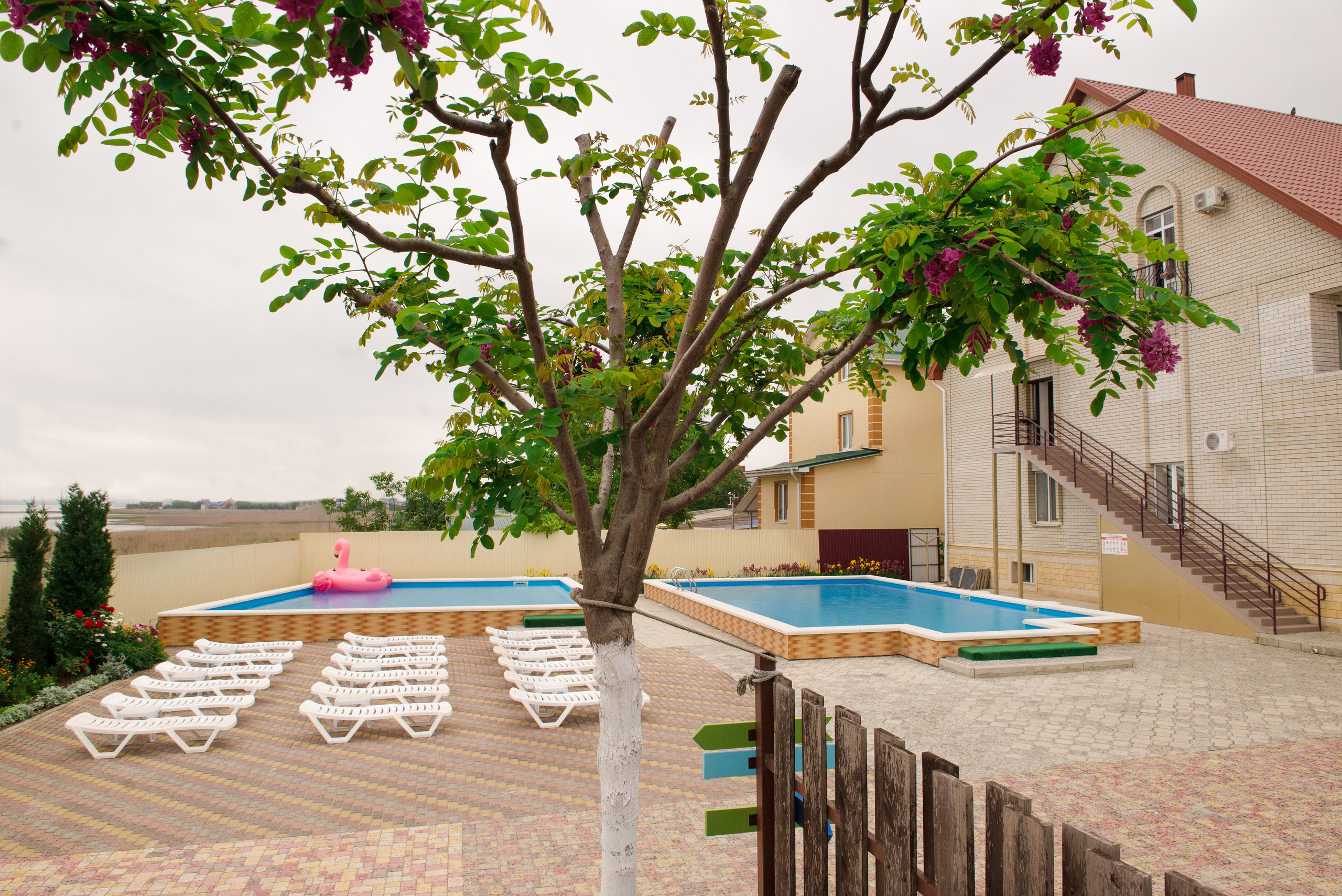 Олель «Тихий берег». Фотограф в Краснодаре Альбрехт Амина