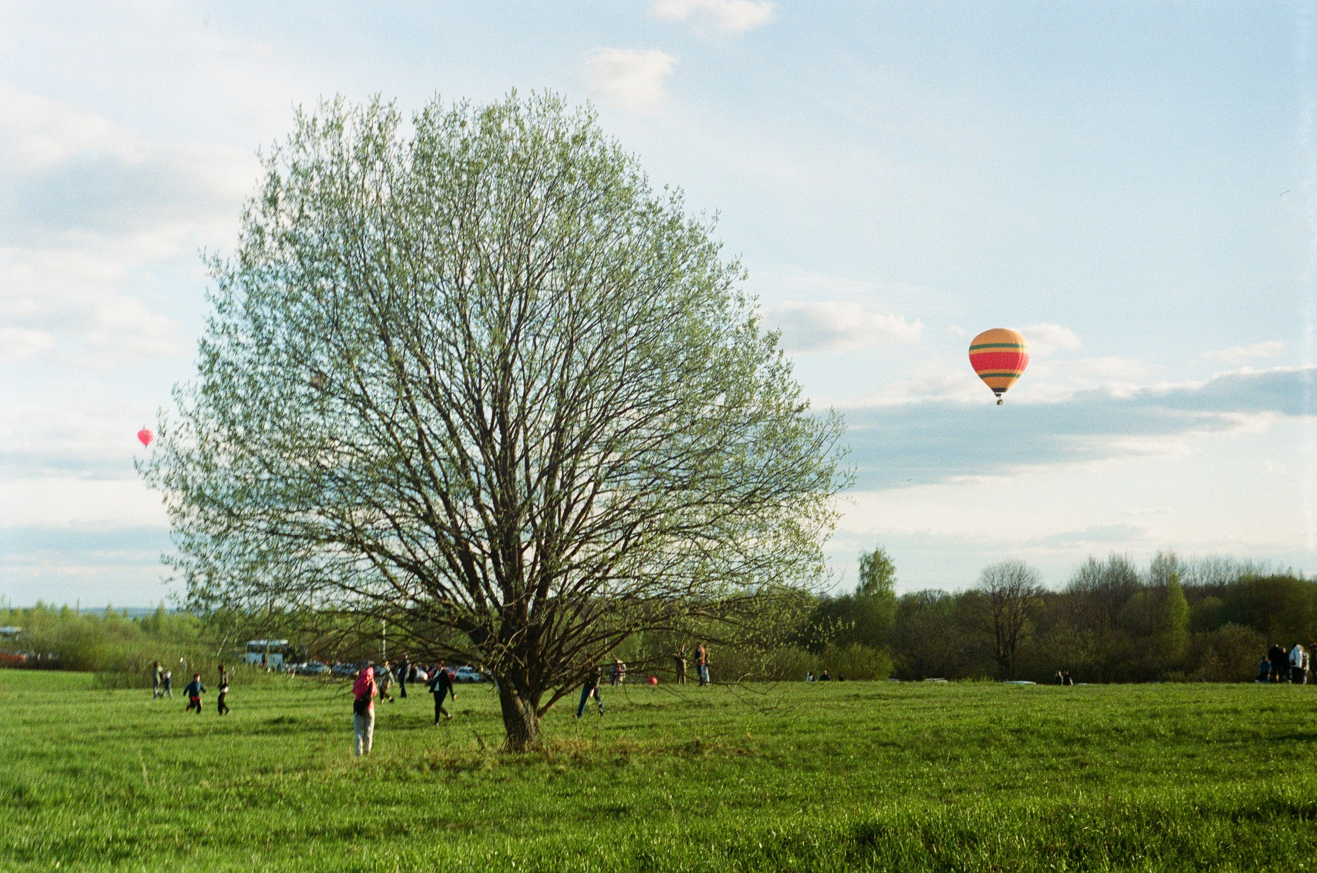 Пленка. Фотограф в Москве Наталья Новикова