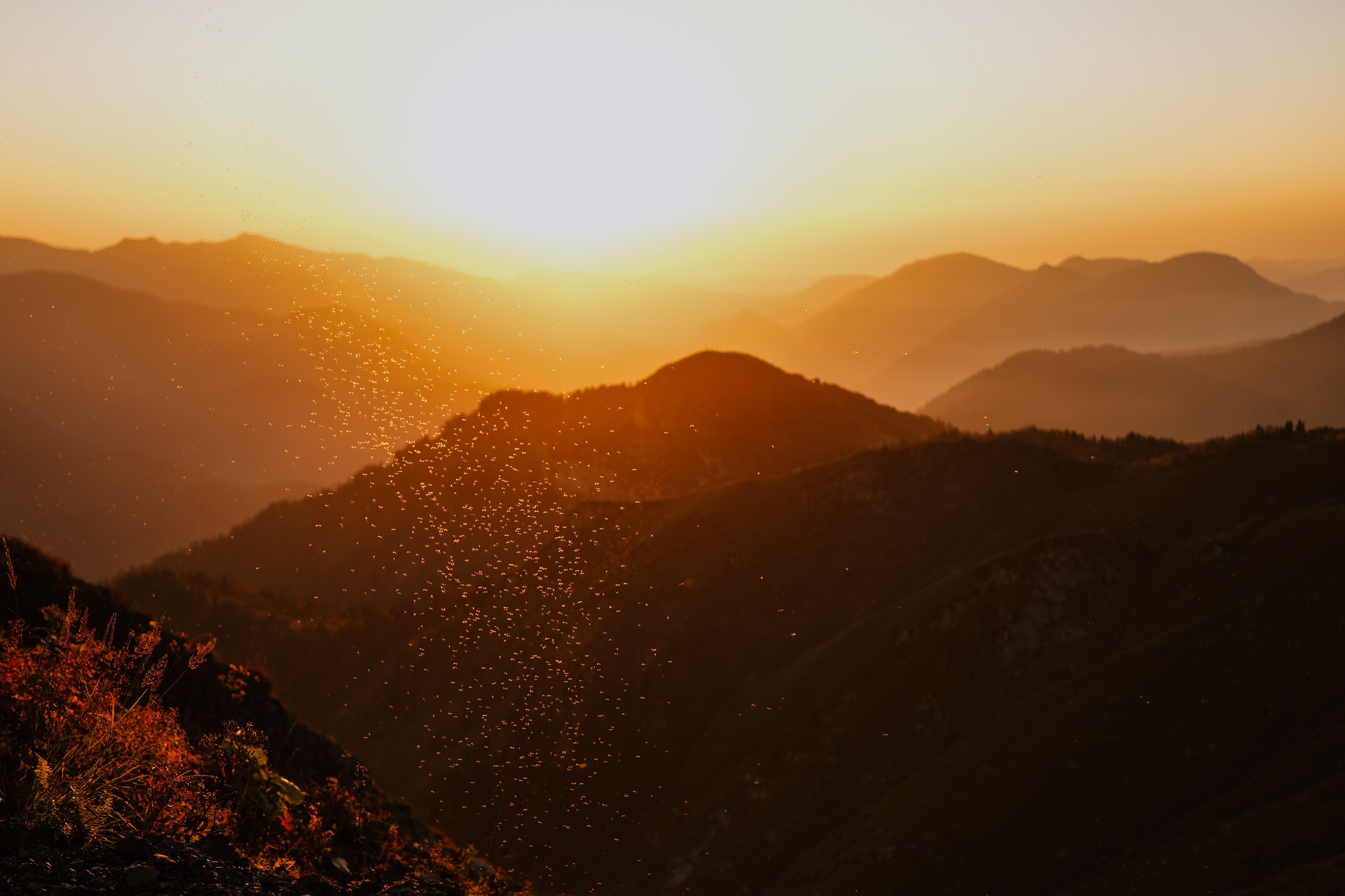 Роза Пик, тропа Турья ✽ Октябрь. Репортажный фотограф | Роза Хутор Красная Поляна Сочи Сириус