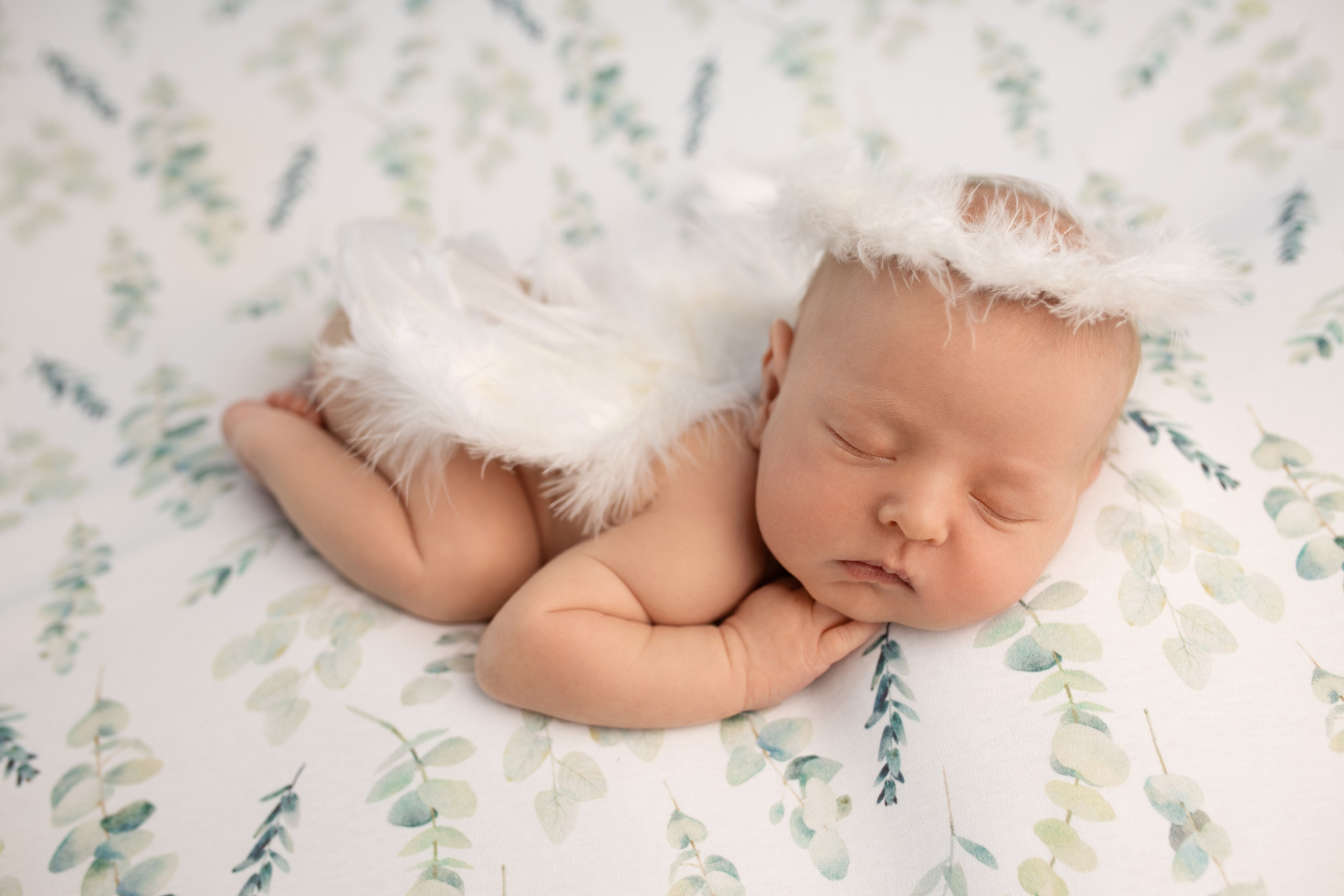 Миша (пакет мини). Фотограф новорожденных в Барнауле Русакова Анастасия