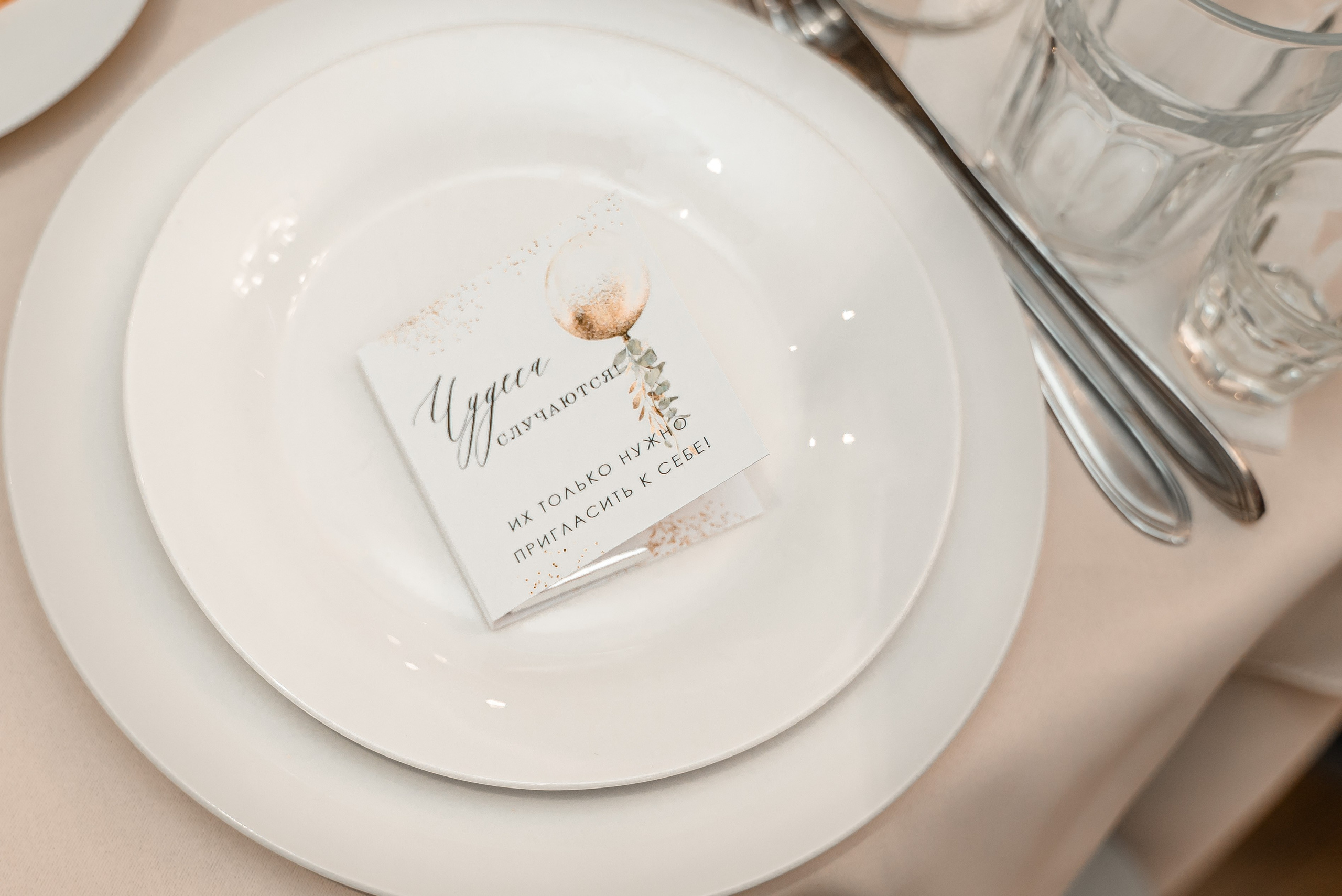 Марина Юбилей 55. Свадебный фотограф Ирина Димитриева