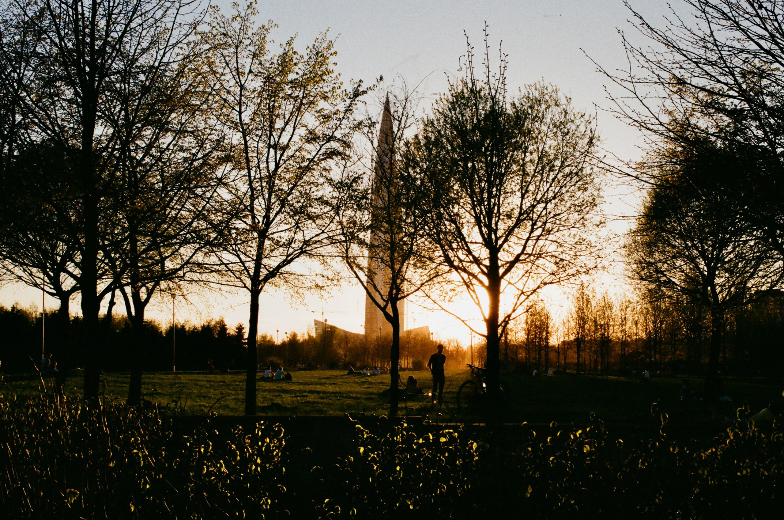 Film. Ruslan UI Dev Page