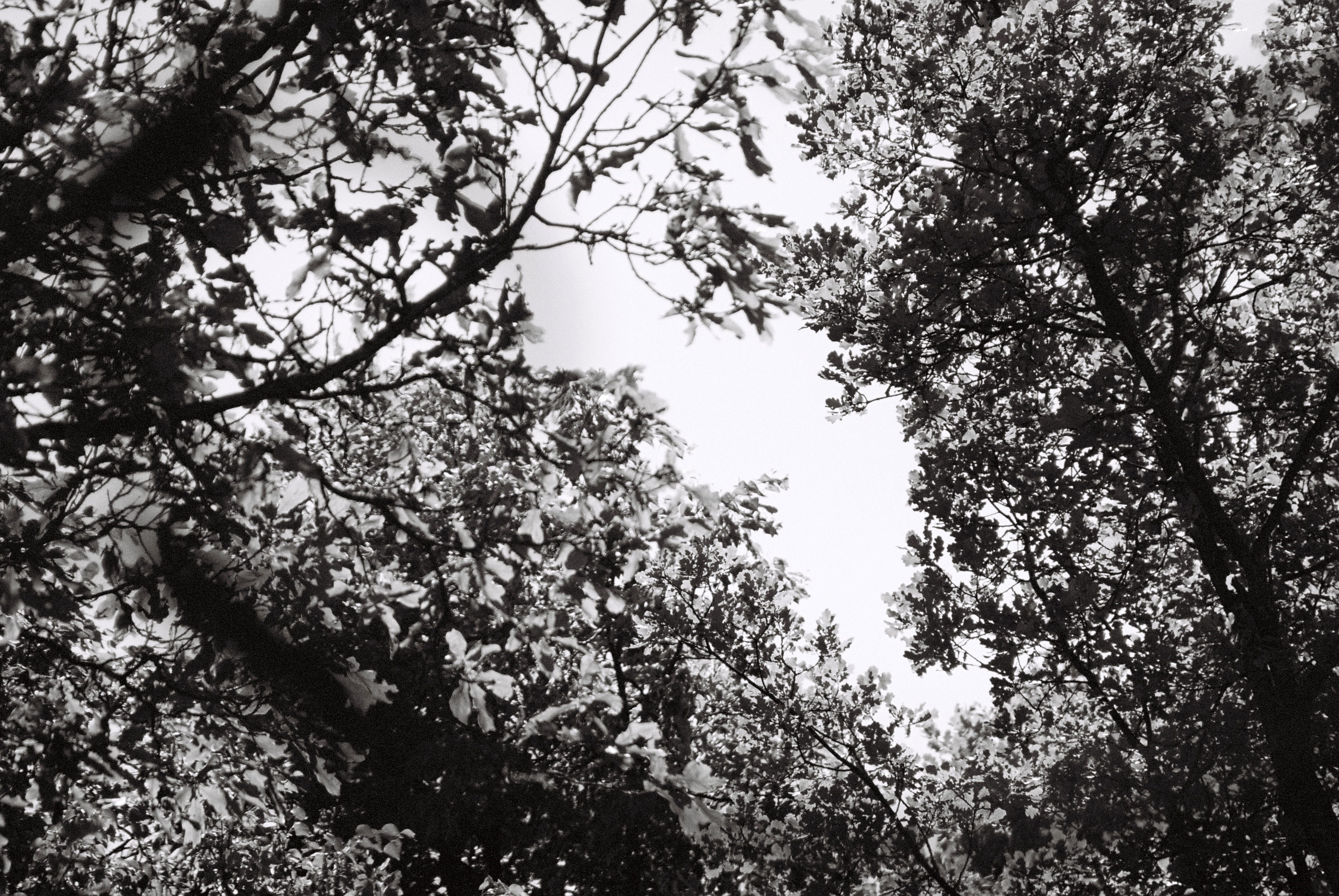 Film. Ruslan UI Dev Page