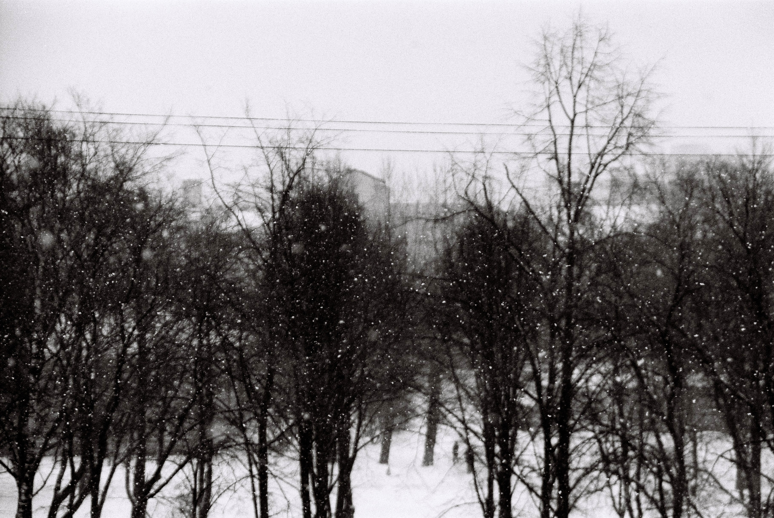 Film. Ruslan UI Dev Page