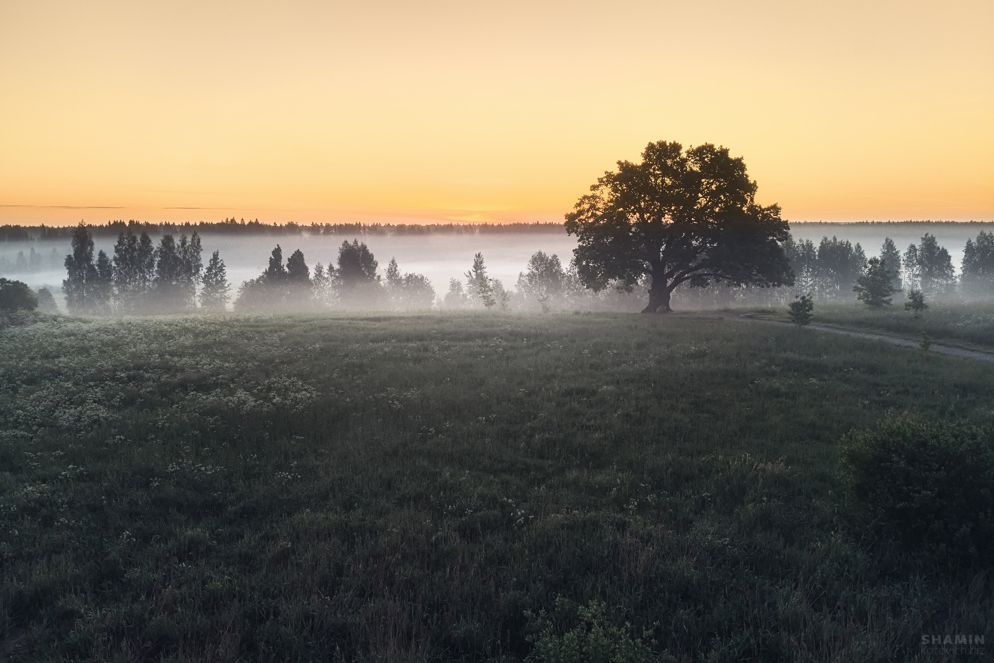 365 (2022 год). Фотограф Константин Шамин