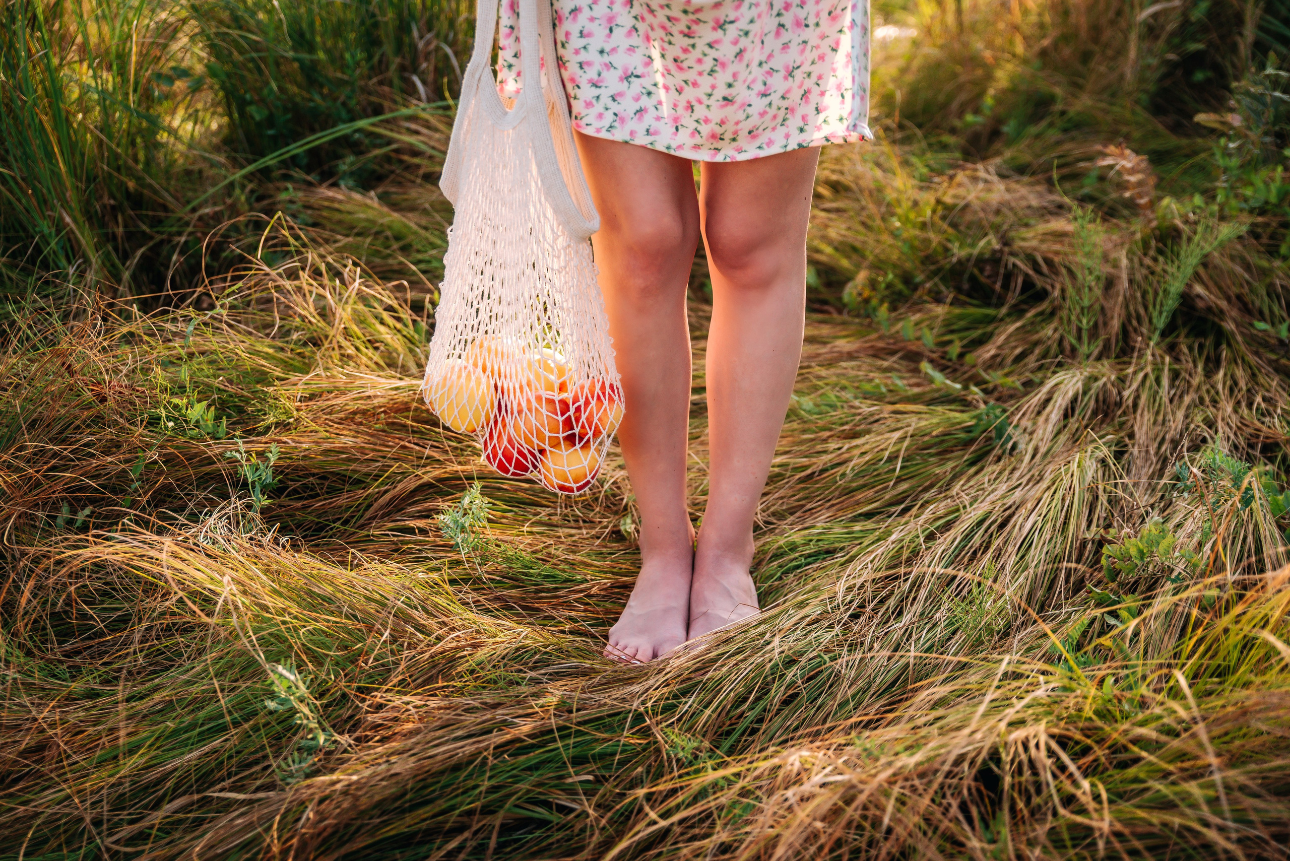 Летний Пикник. Главная