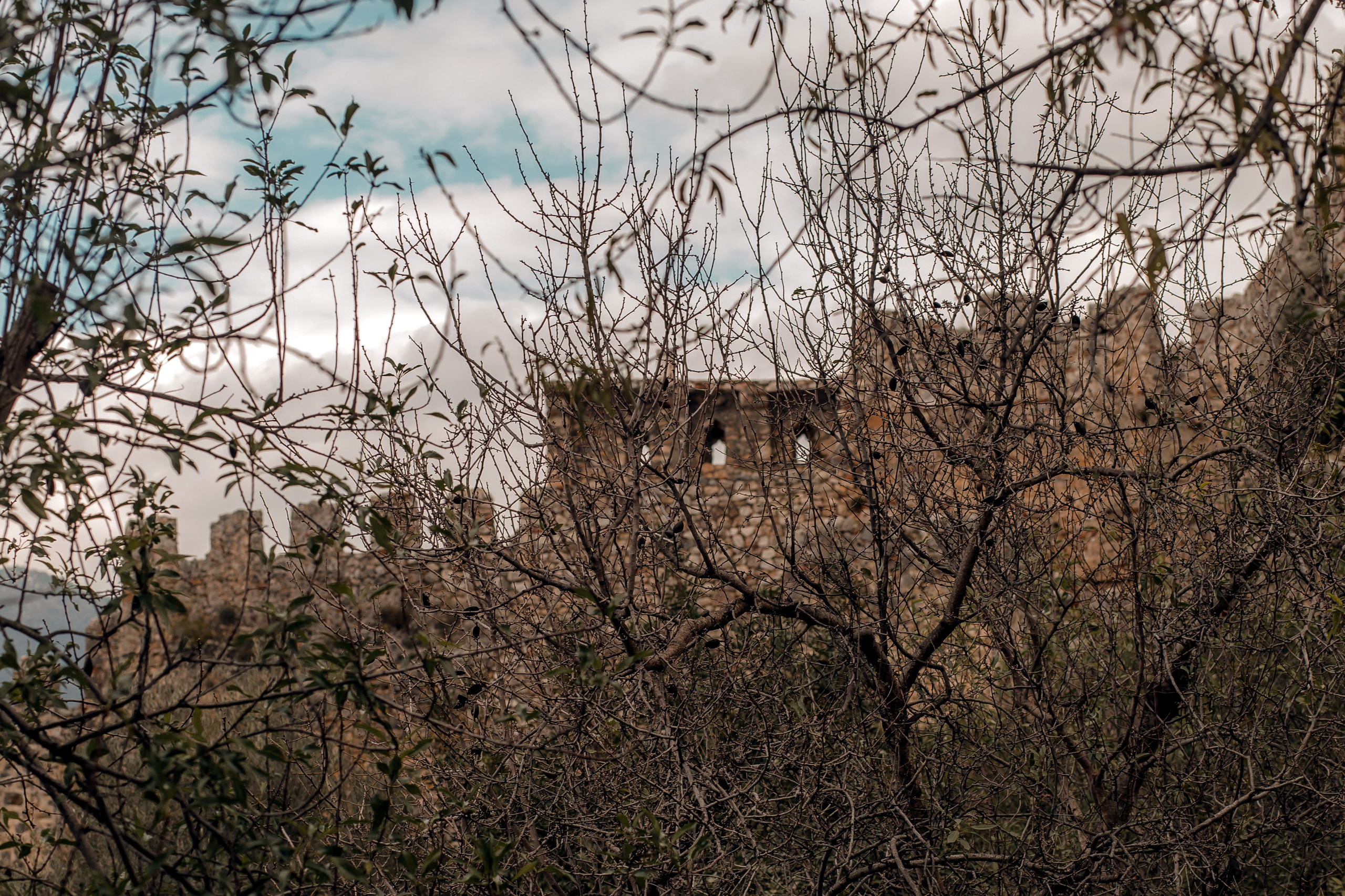 Turkey, Alanya. Art Photographer